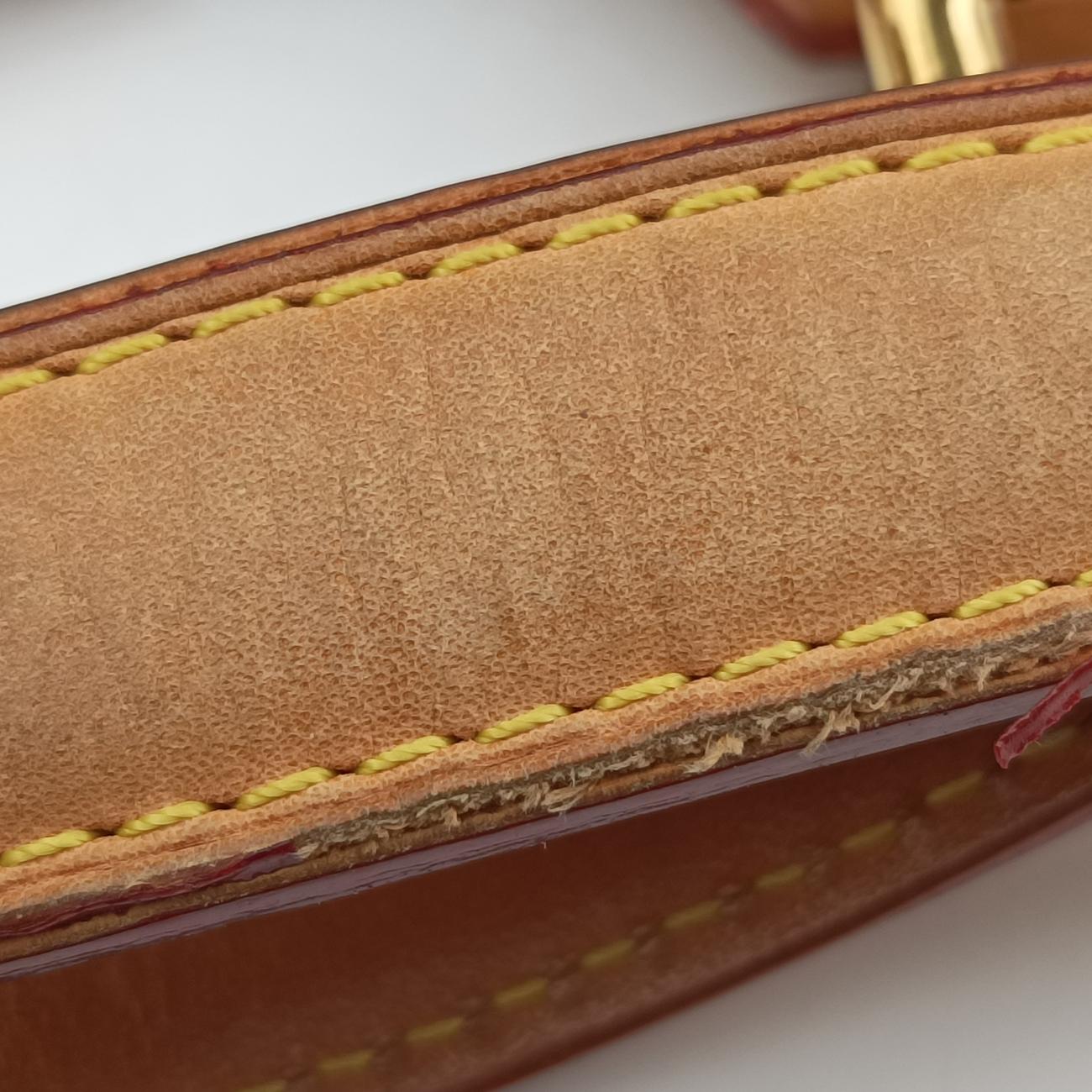 Pre-owned Louis Vuitton URSULA Noir Monogram Multicolor M40124 handbag | stylenewstar