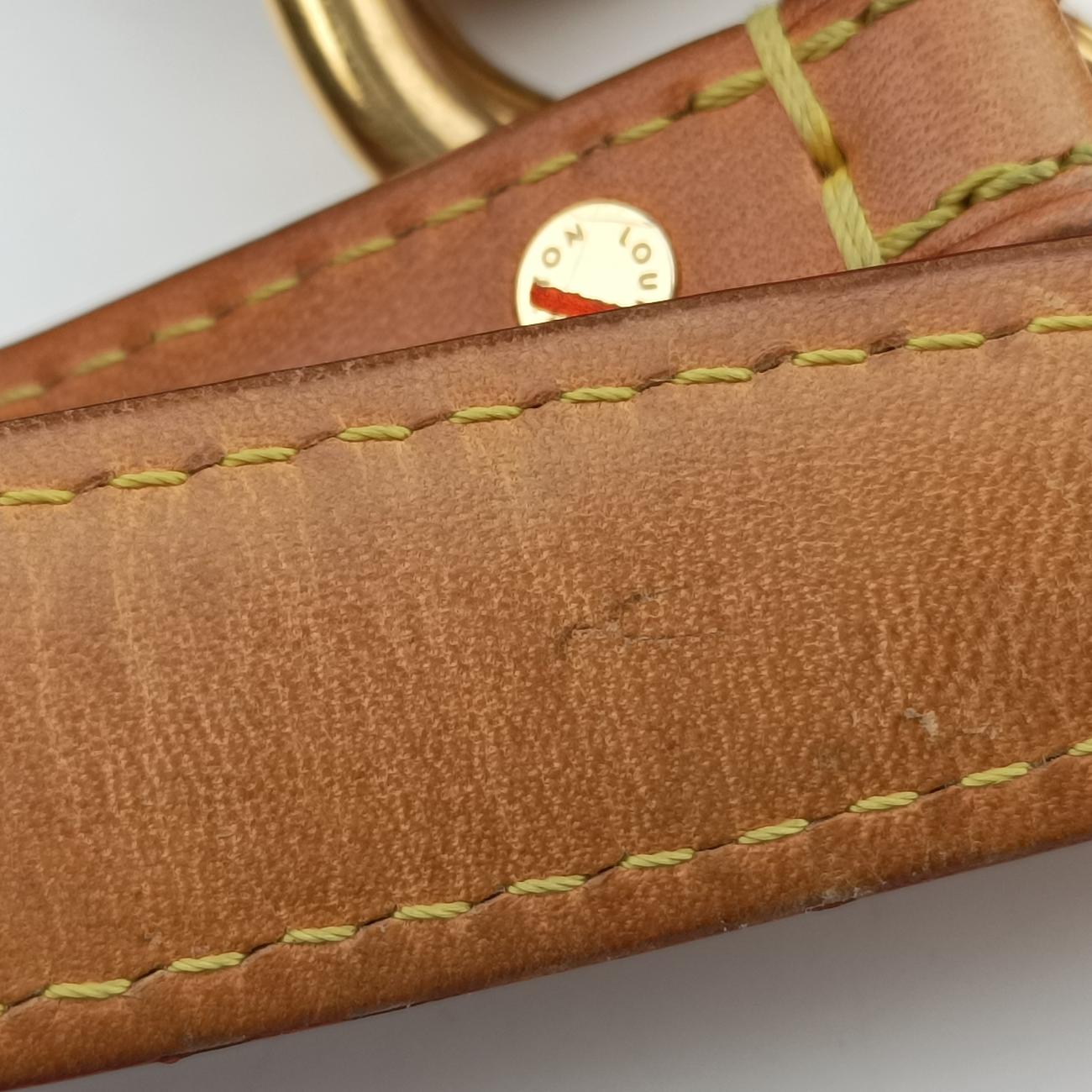 Pre-owned Louis Vuitton URSULA Noir Monogram Multicolor M40124 handbag | stylenewstar