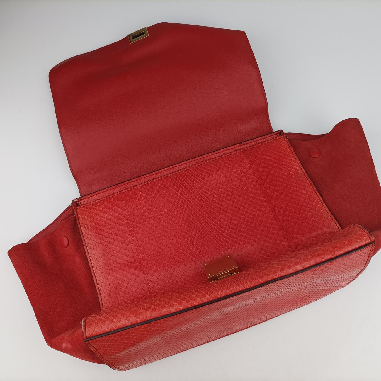 Pre-owned Celine Trapèze orange Snakeskin × suede  shoulderbag | stylenewstar