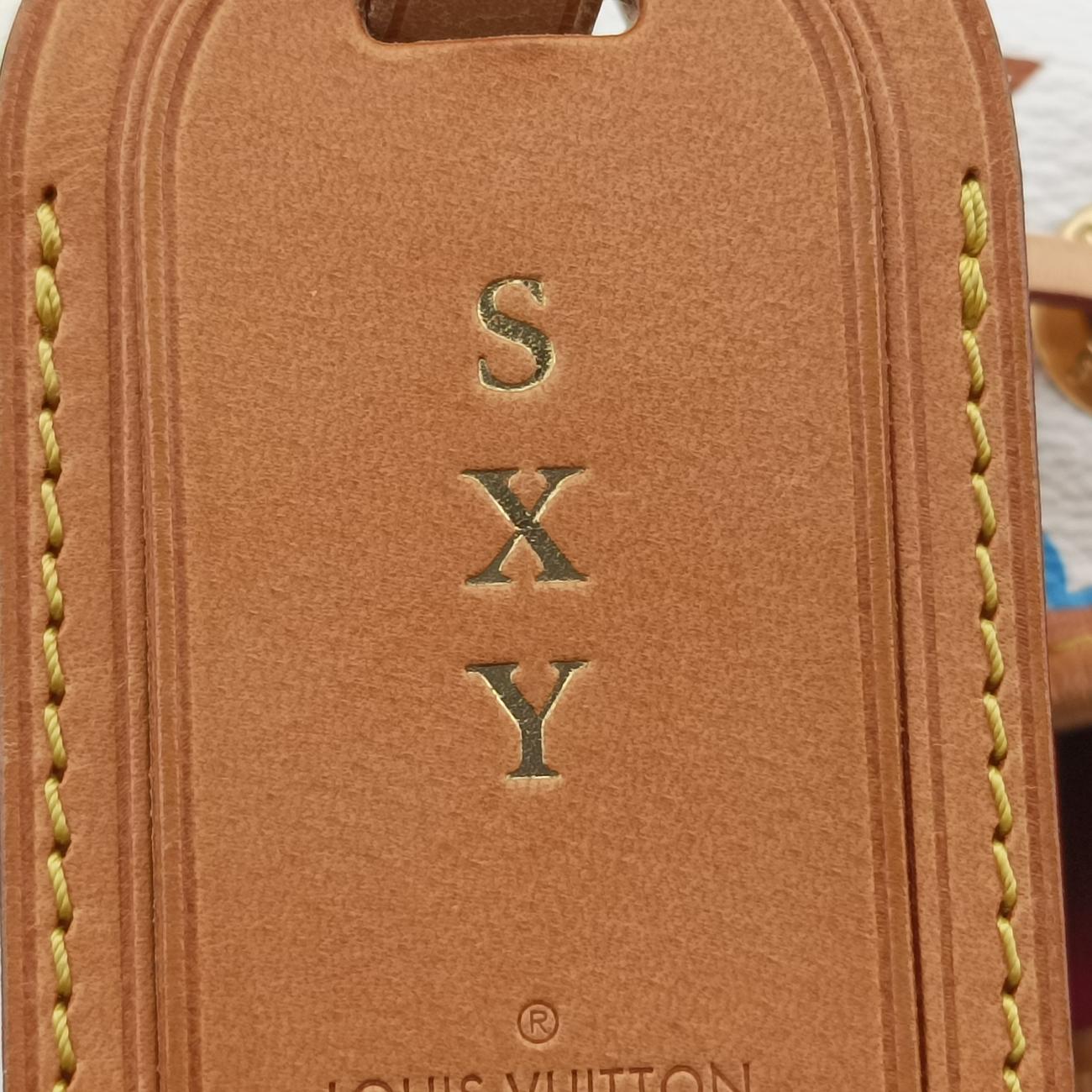 Pre-owned Louis Vuitton Petit NOé white Monogram Multicolor M42229 shoulderbag | stylenewstar