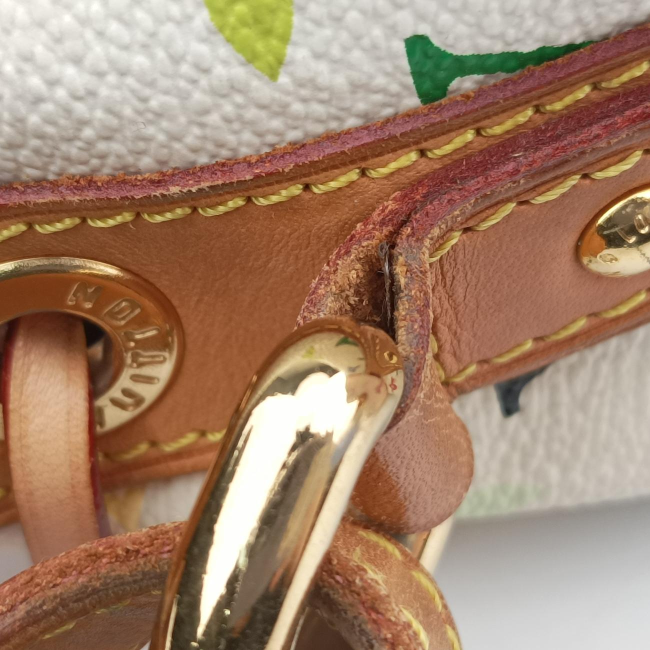 Pre-owned Louis Vuitton Petit NOé white Monogram Multicolor M42229 shoulderbag | stylenewstar