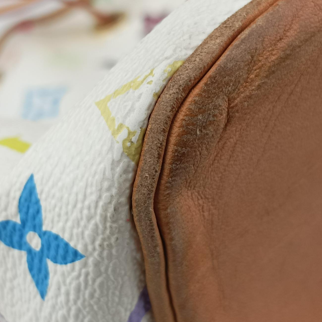 Pre-owned Louis Vuitton Petit NOé white Monogram Multicolor M42229 shoulderbag | stylenewstar