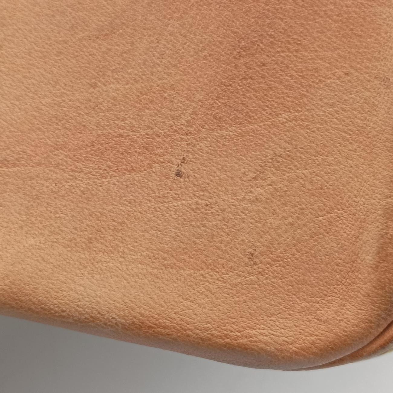 Pre-owned Louis Vuitton Petit NOé white Monogram Multicolor M42229 shoulderbag | stylenewstar