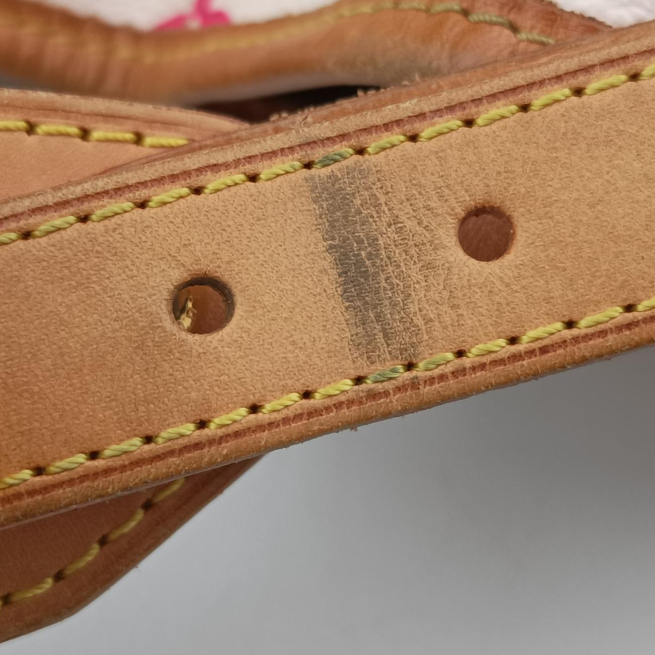 Pre-owned Louis Vuitton Petit NOé white Monogram Multicolor M42229 shoulderbag | stylenewstar