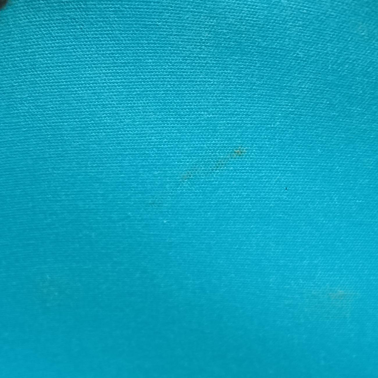 Pre-owned Louis Vuitton Bellflower PM Blue Lagon Vernis M91730 shoulderbag | stylenewstar