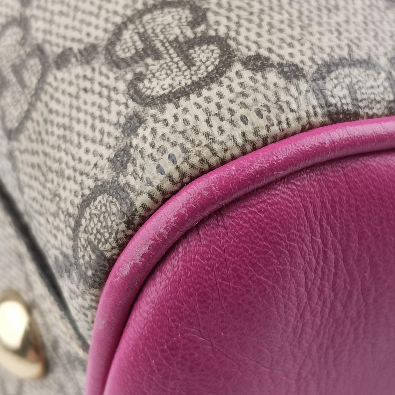 Secondhand Gucci GG SUPREME beige×Multicolour PVC coated canvas x leather 409529 shoulderbag | stylenewstar