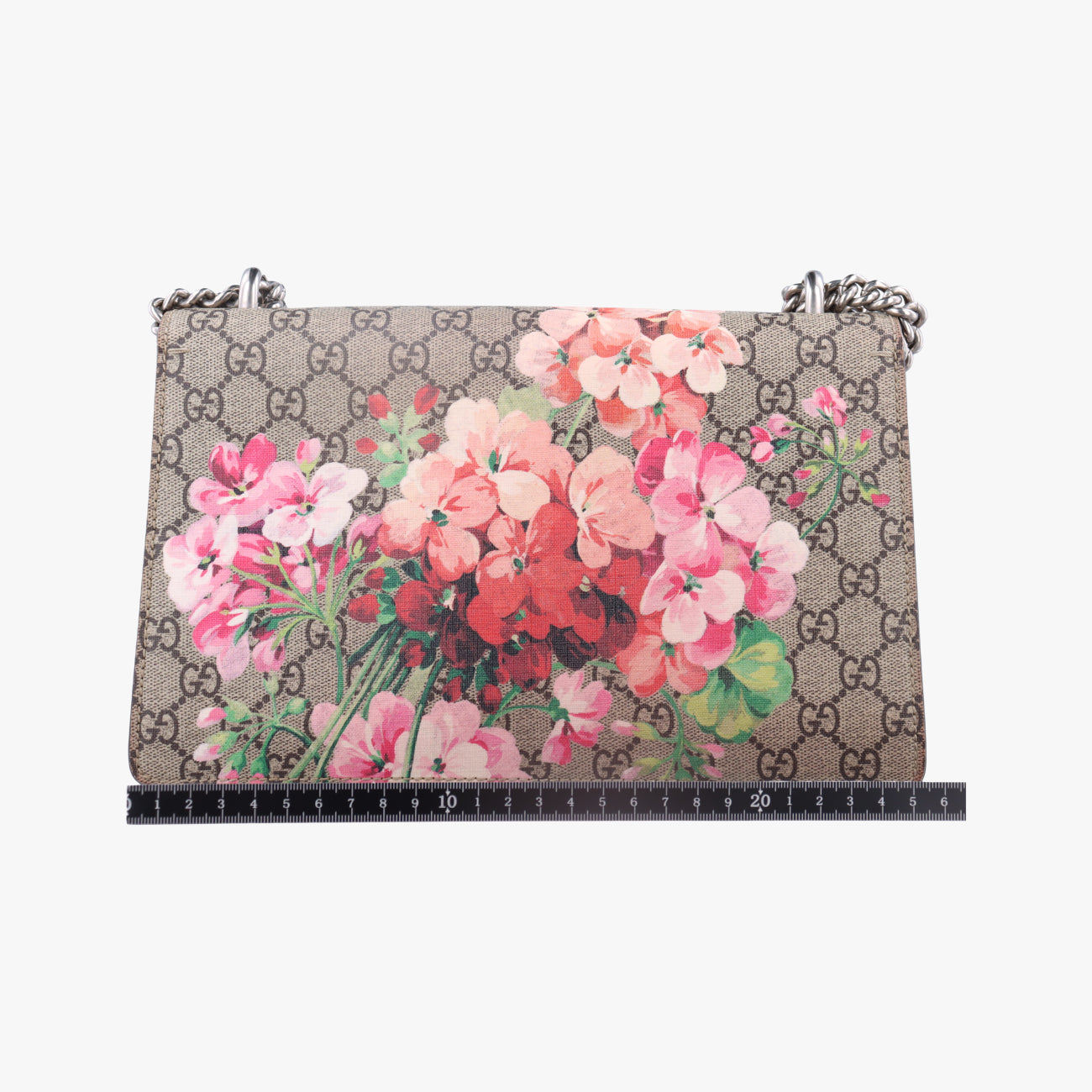 Pre-owned Gucci Dionysus BEIGE×RED×Multicolour PVC coated canvas 400249 shoulderbag | stylenewstar