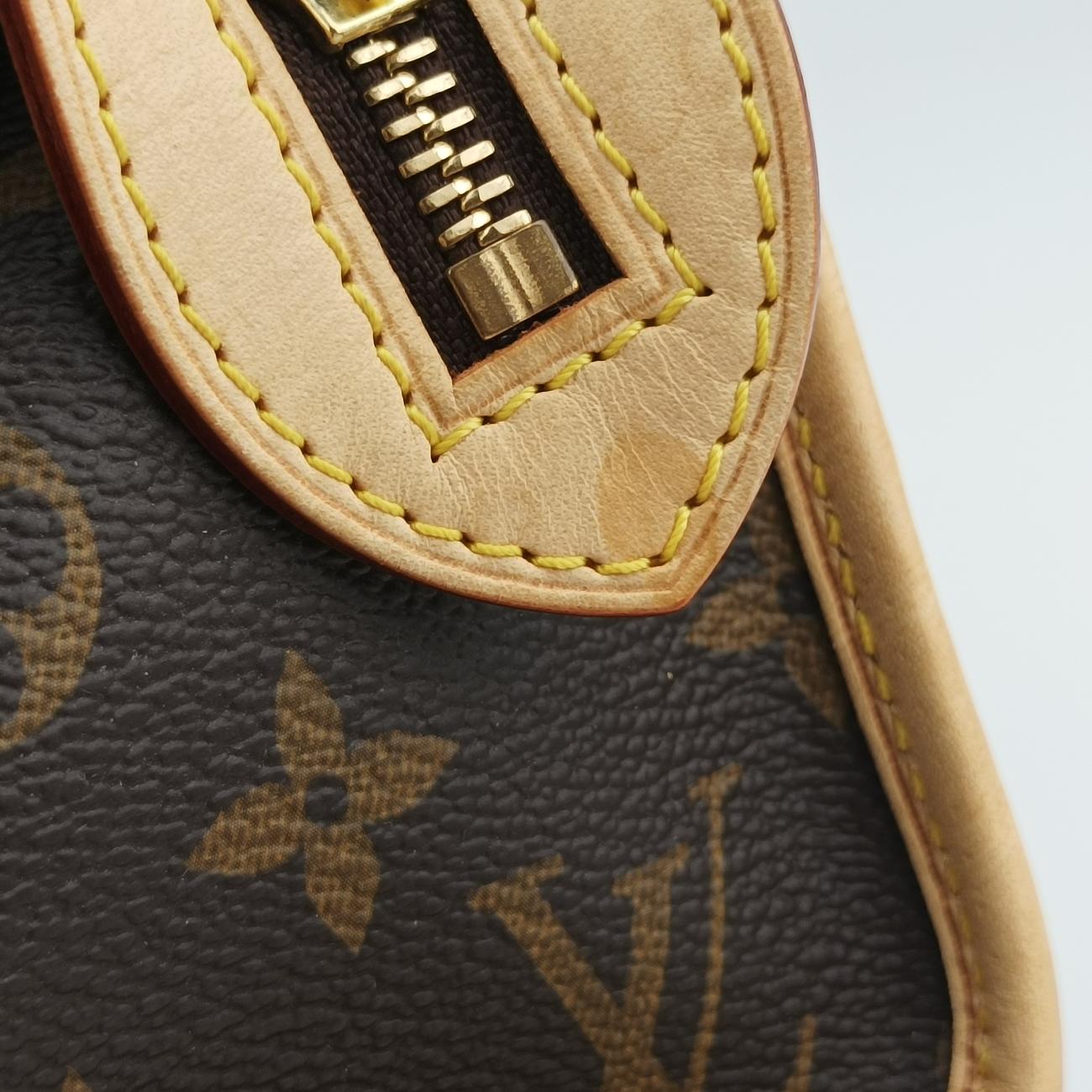 Secondhand Louis Vuitton Popincourt brown Monogram Canvas M40009 handbag | stylenewstar