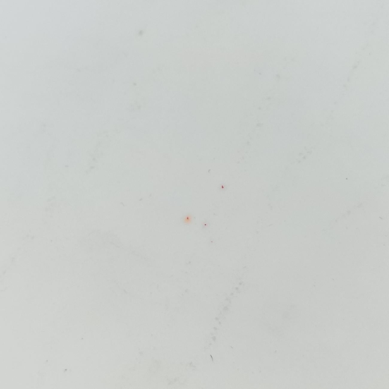 Pre-owned Chanel BOY CHANEL White Enamel A67021 shoulderbag | stylenewstar