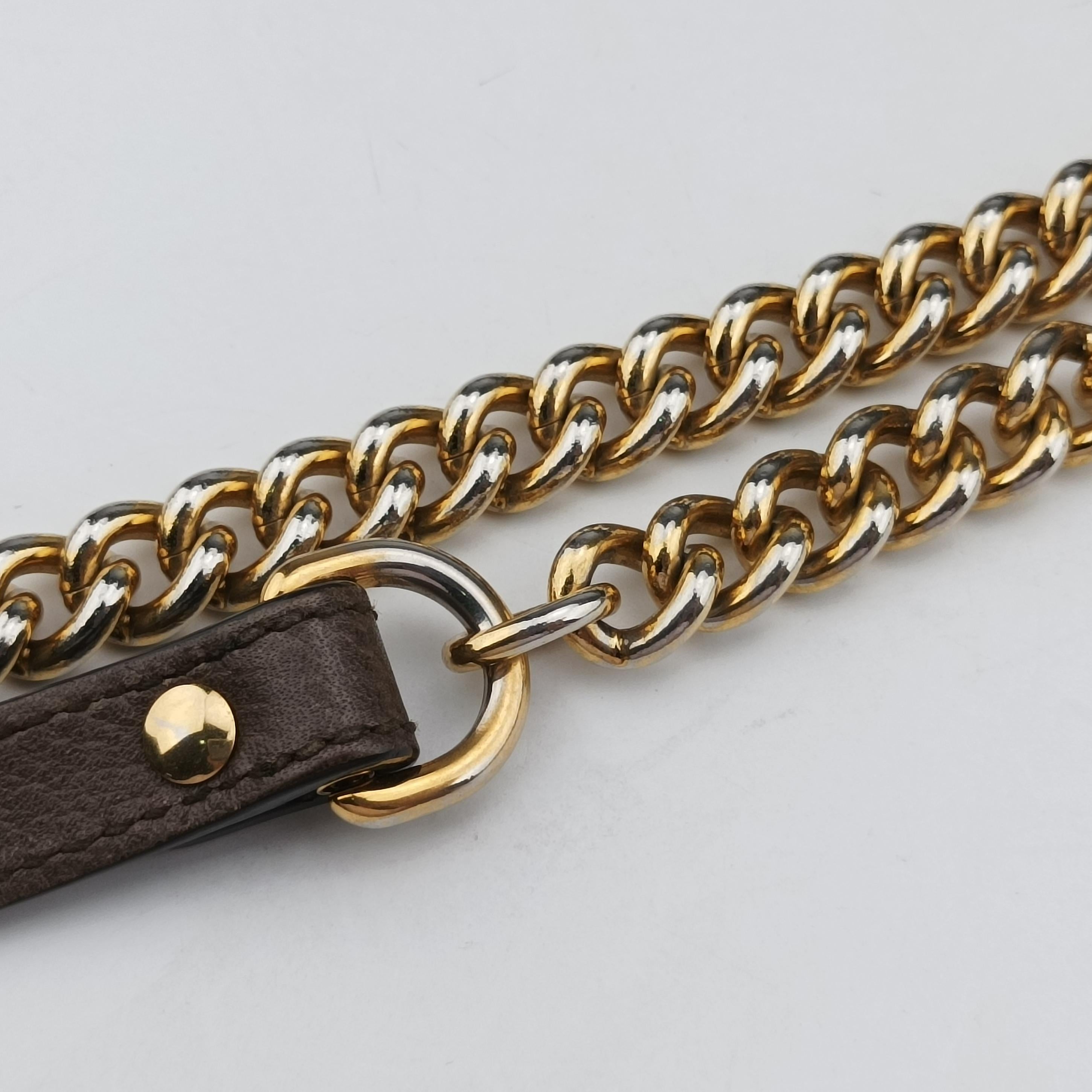 Pre-owned Gucci Dionysus beige×Brown PVC coated canvas 499622 shoulderbag | stylenewstar