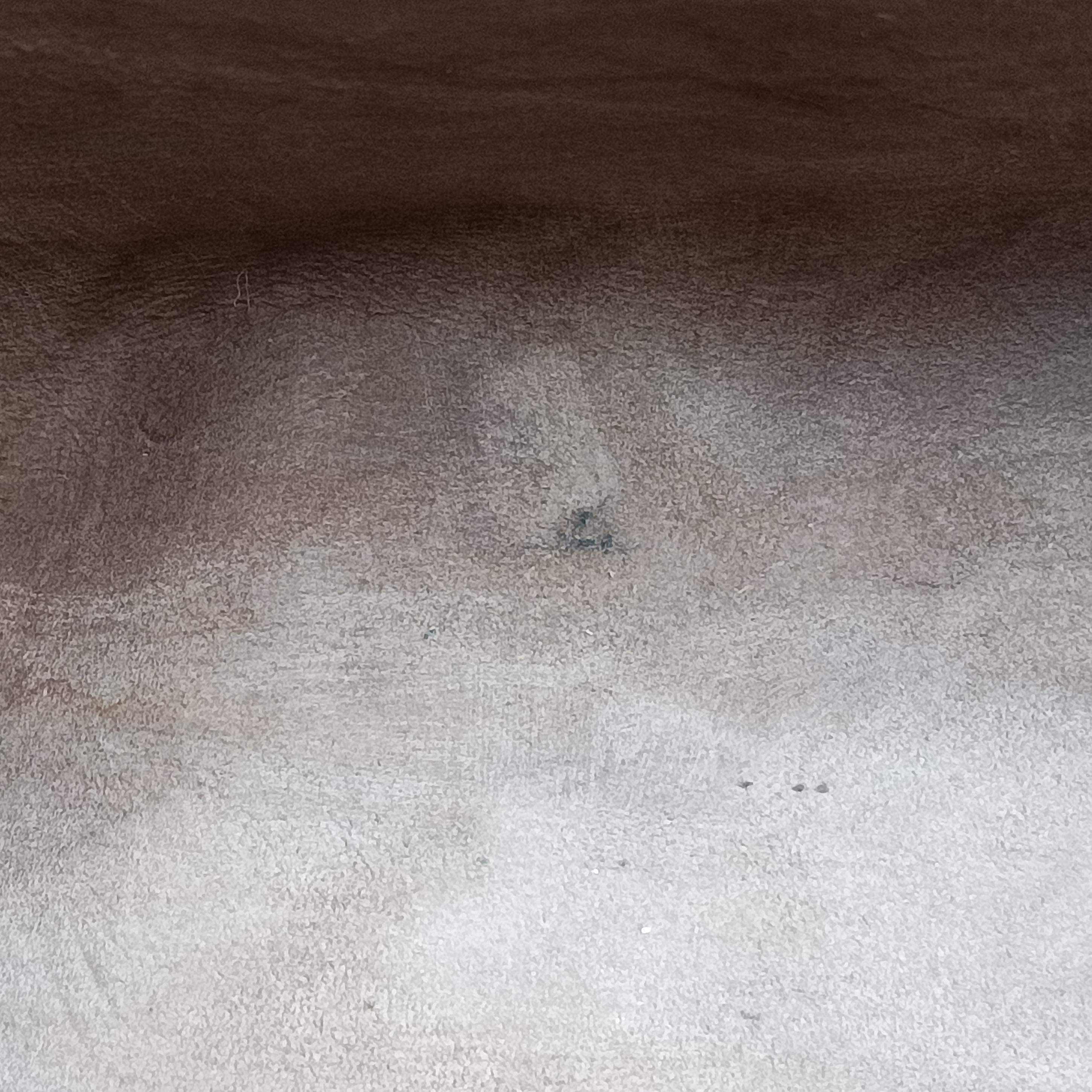 Pre-owned Gucci GG Supreme Linea C Blooms GucciGhost Beige x Multicolour PVC coated canvas 414476 shoulderbag | stylenewstar