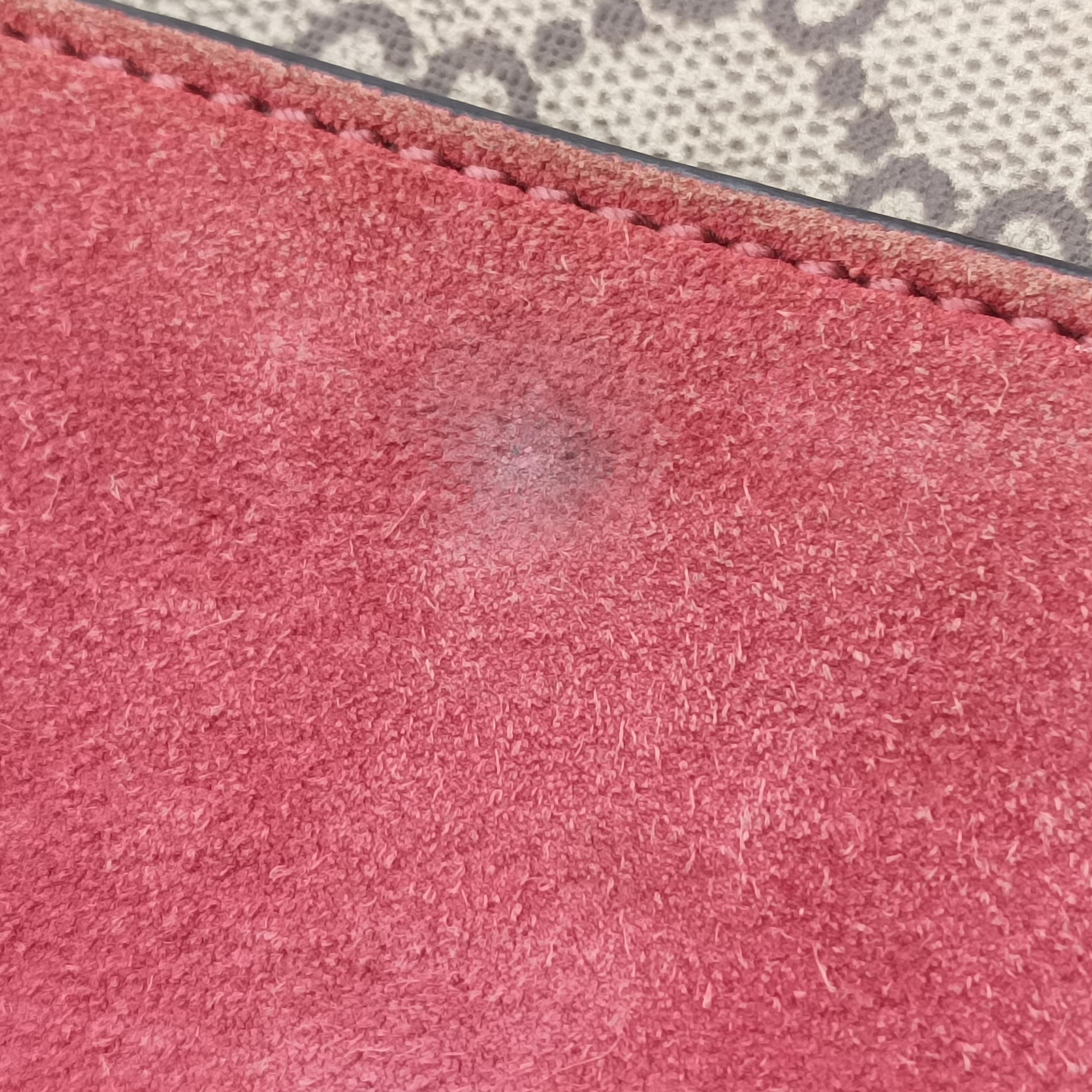 Pre-owned Gucci Dionysus beige×red×multicolor PVC coated canvas 400249 shoulderbag | stylenewstar