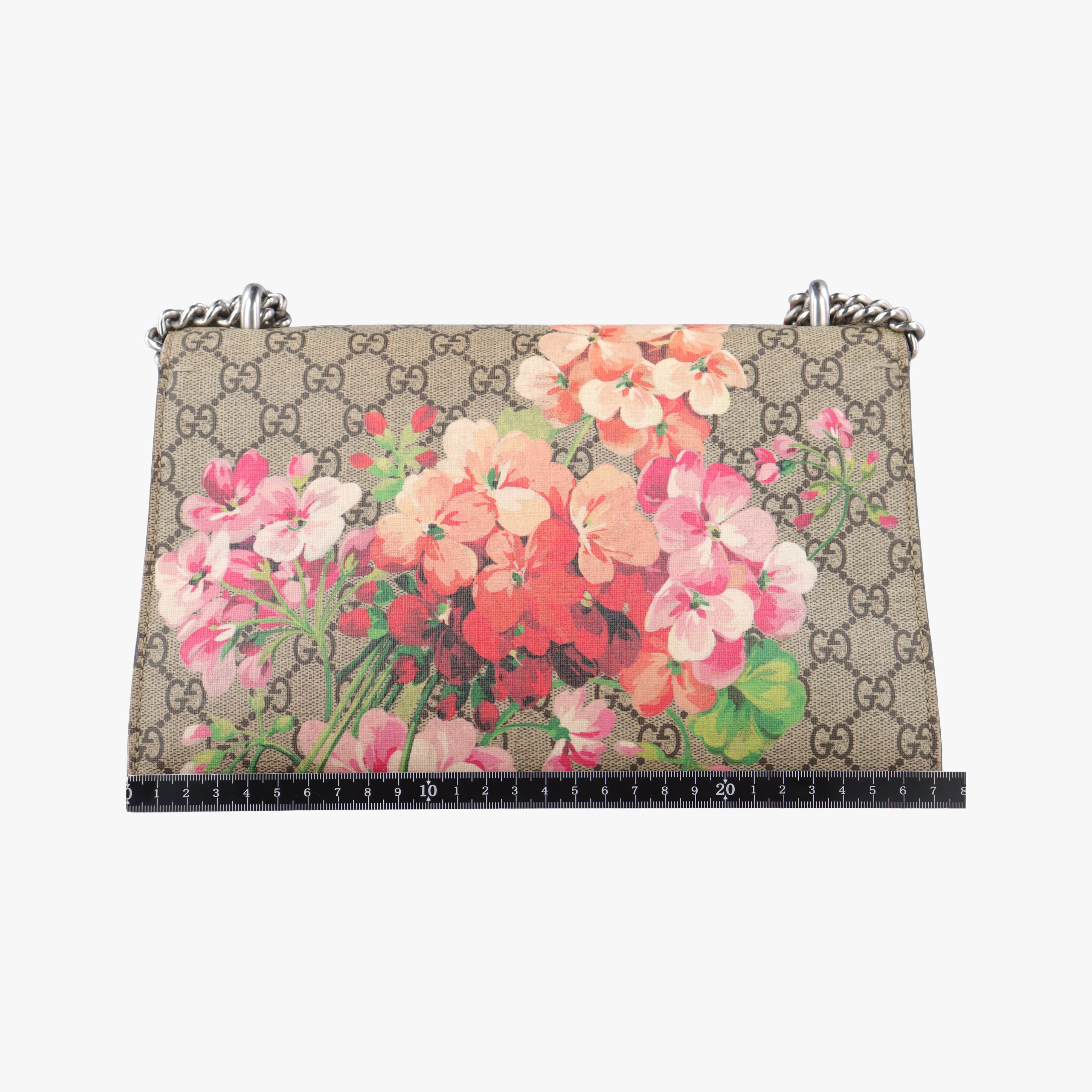 Pre-owned Gucci Dionysus beige×red×multicolor PVC coated canvas 400249 shoulderbag | stylenewstar