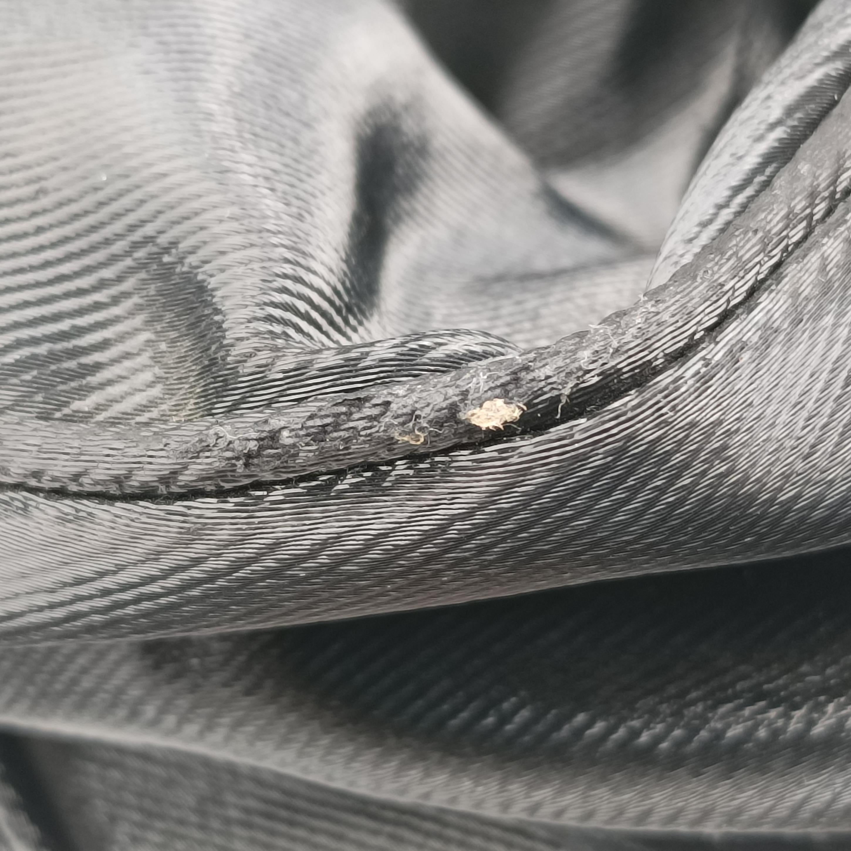 Pre-owned Fendi Mia Black Canvas 8BR616 shoulderbag | stylenewstar