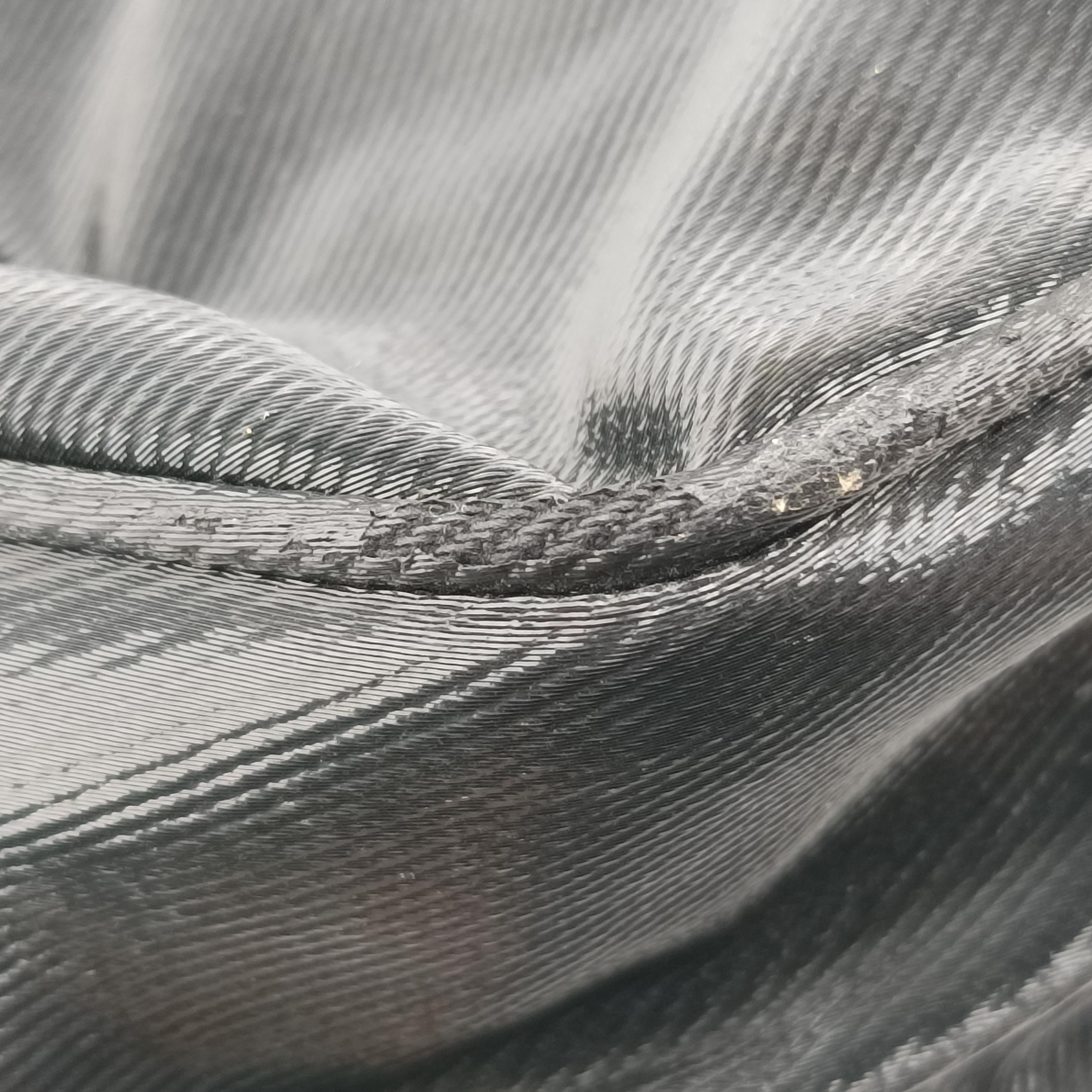 Pre-owned Fendi Mia Black Canvas 8BR616 shoulderbag | stylenewstar