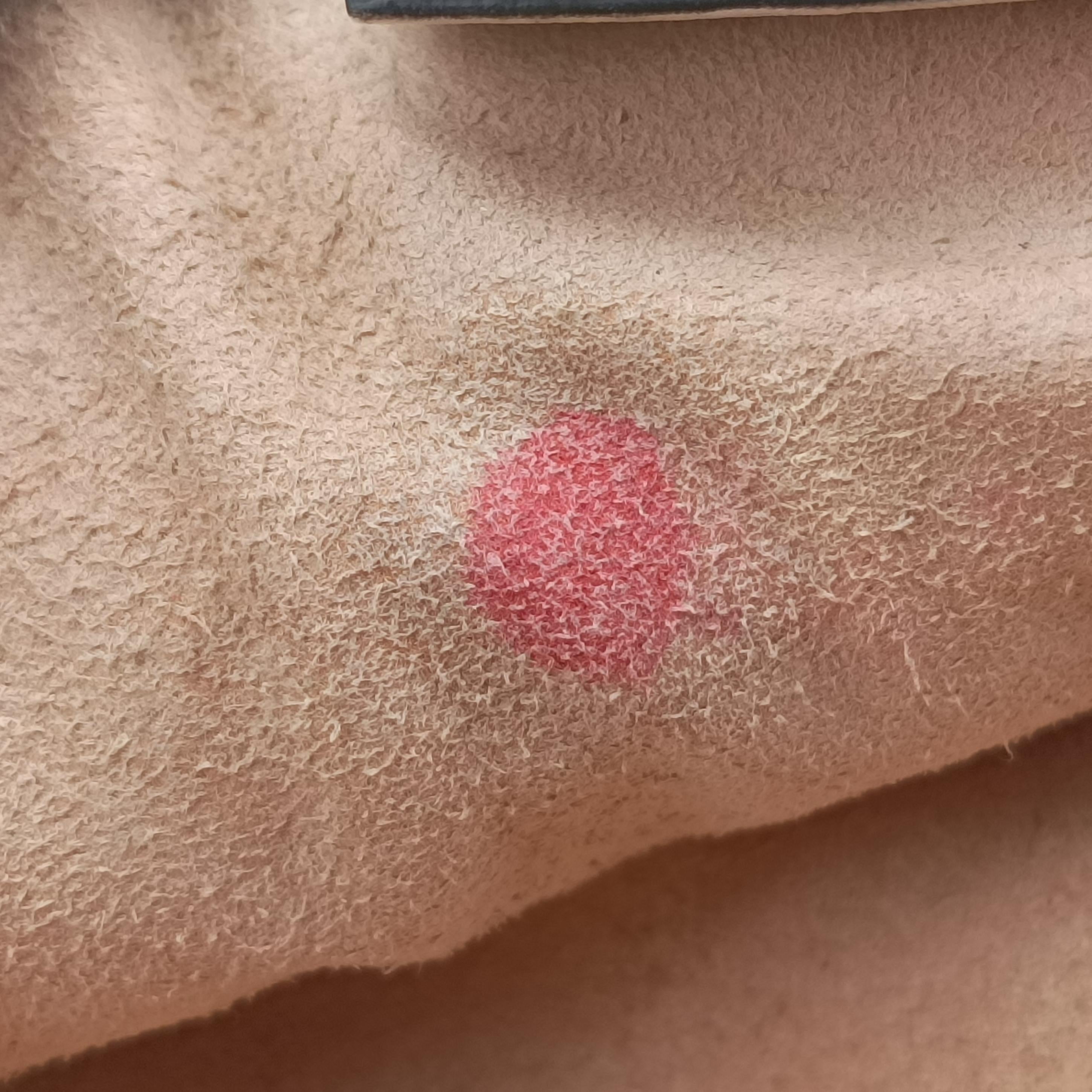 Pre-owned Gucci GG Marmont White leather 550154 shoulderbag | stylenewstar