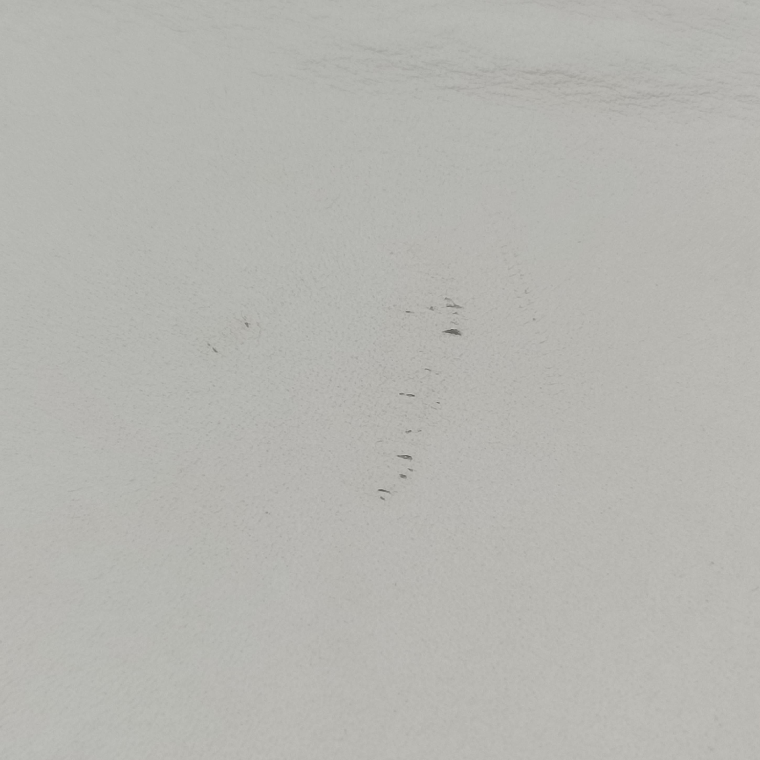 Pre-owned Gucci Sylvie White Leather 421882 shoulderbag | stylenewstar