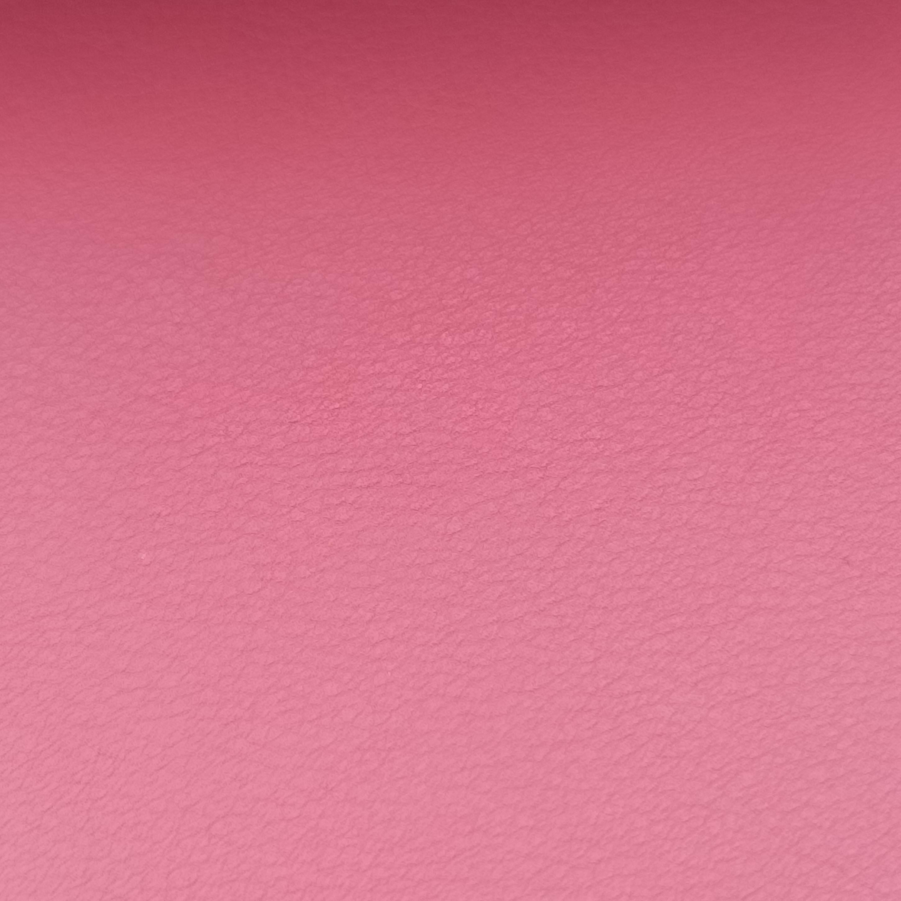 Secondhand Delvaux Madame Pink Leather  shoulderbag | stylenewstar