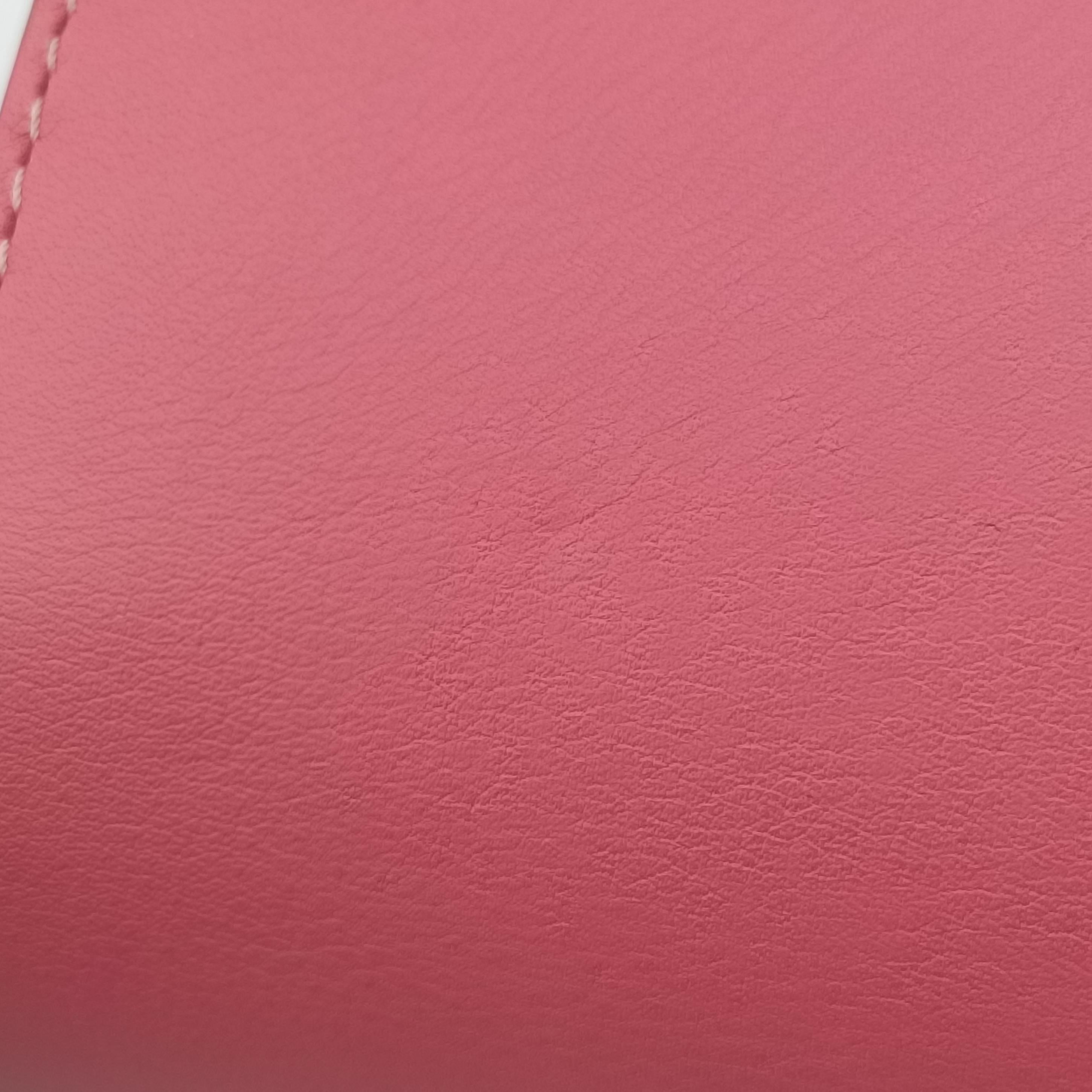 Secondhand Delvaux Madame Pink Leather  shoulderbag | stylenewstar