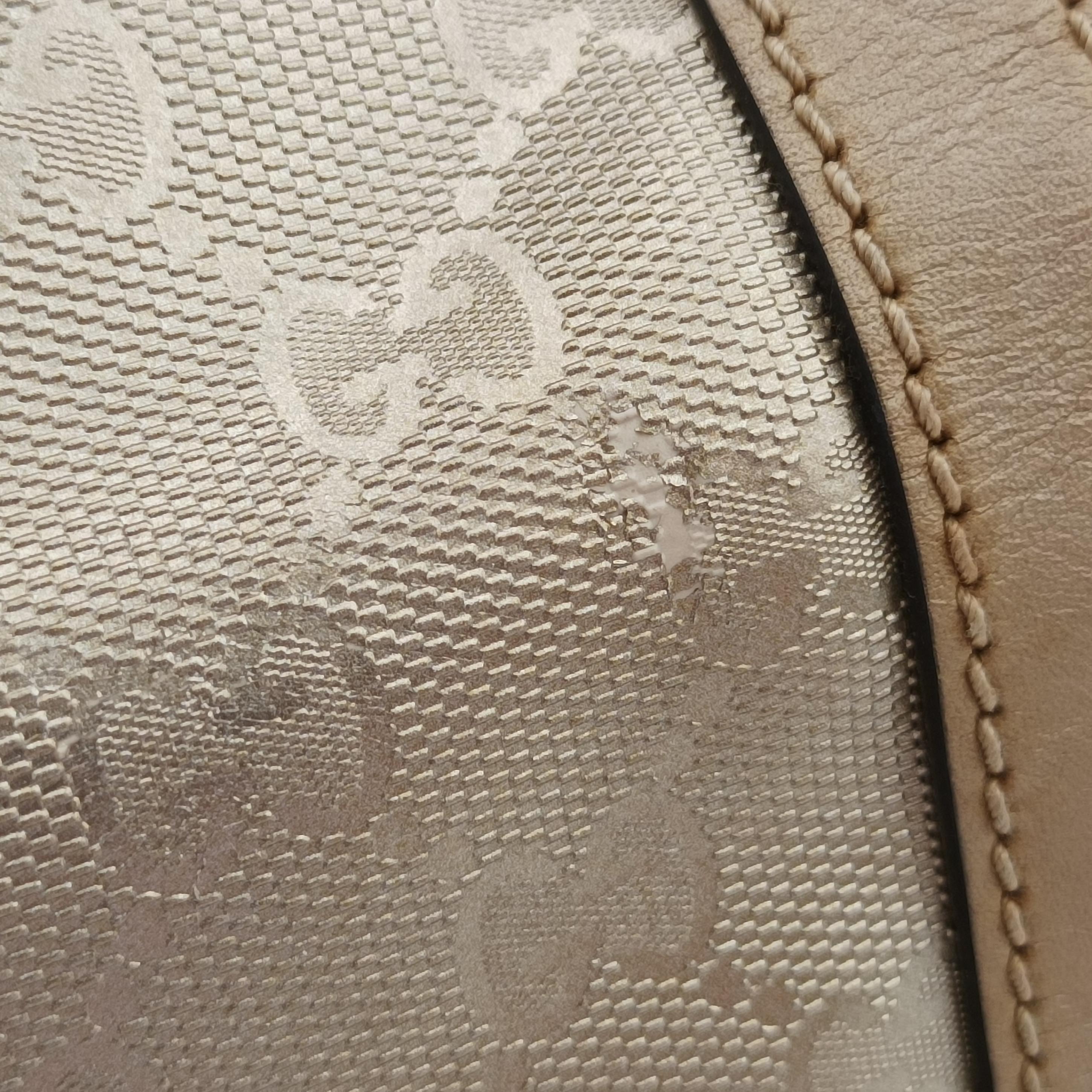 Pre-owned Gucci GG plus Spring Joy GG Supreme Golden Canvas 193603 handbag | stylenewstar