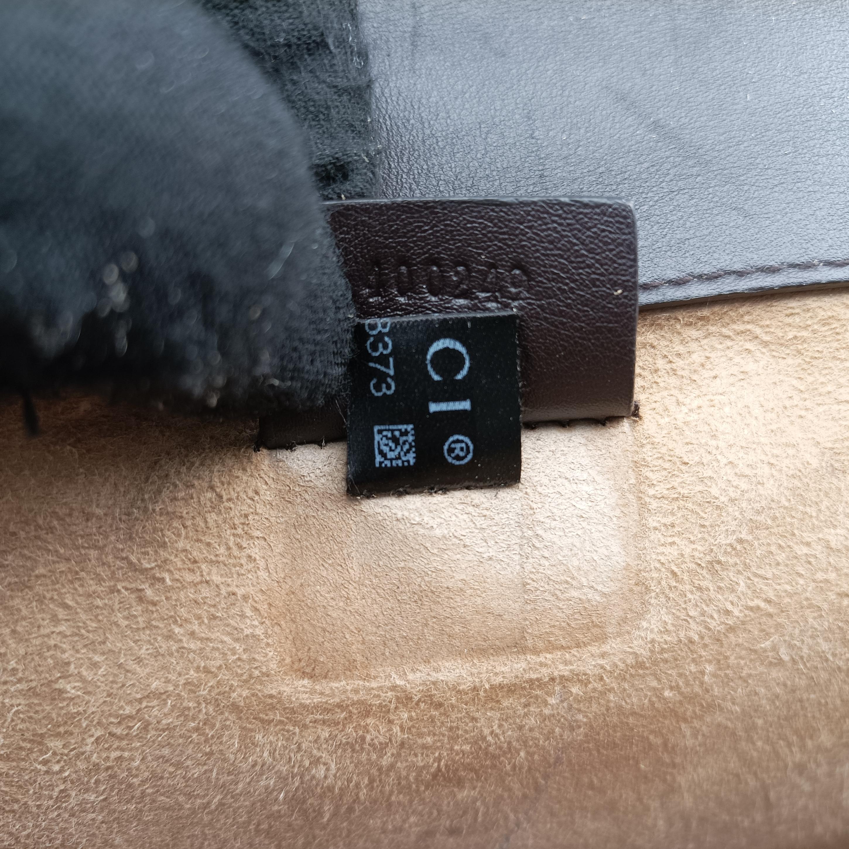 Pre-owned Gucci Dionysus Brown×Multicolor PVC coated canvas 400249 shoulderbag | stylenewstar