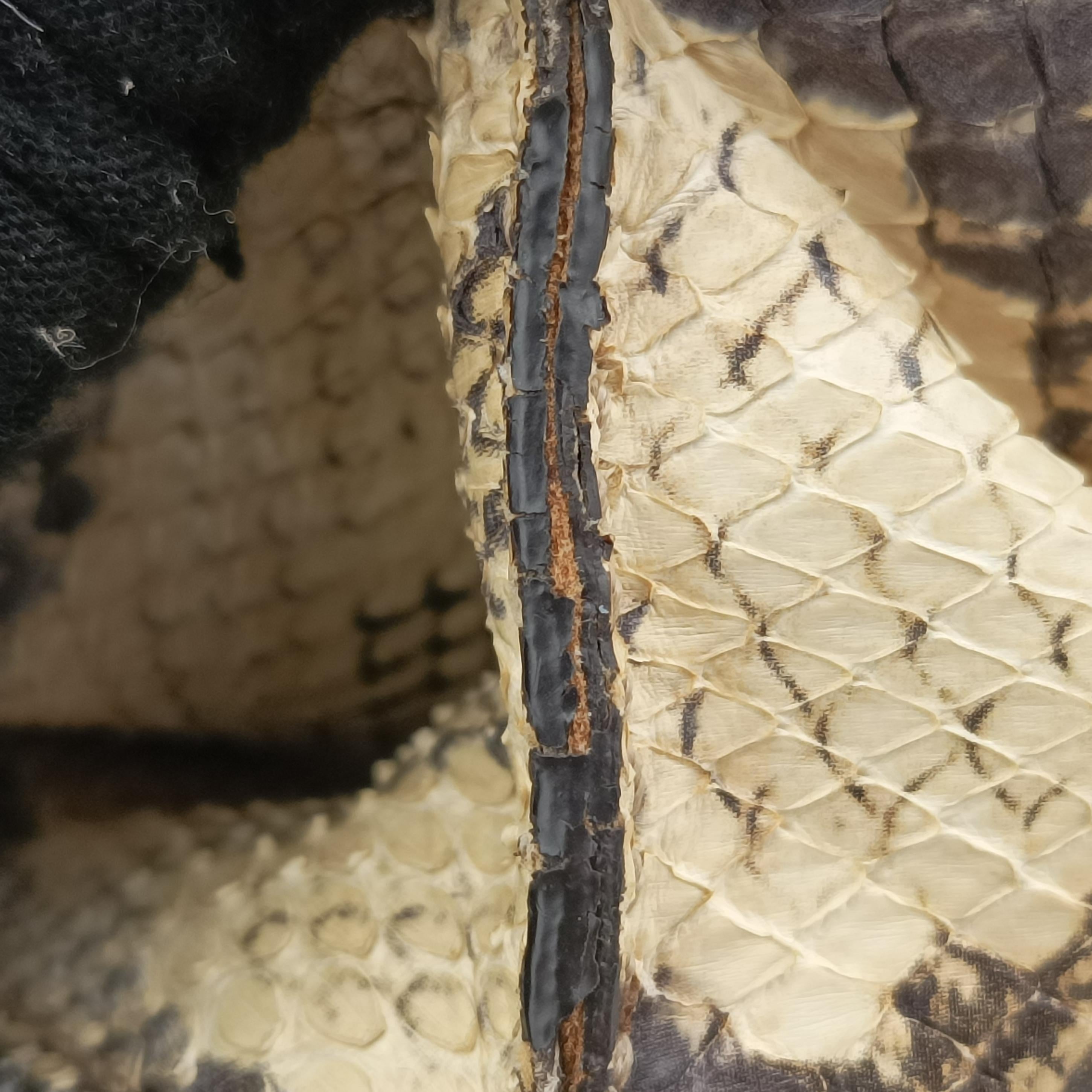 Pre-owned Gucci Dionysus Brown×Multicolor PVC coated canvas 400249 shoulderbag | stylenewstar