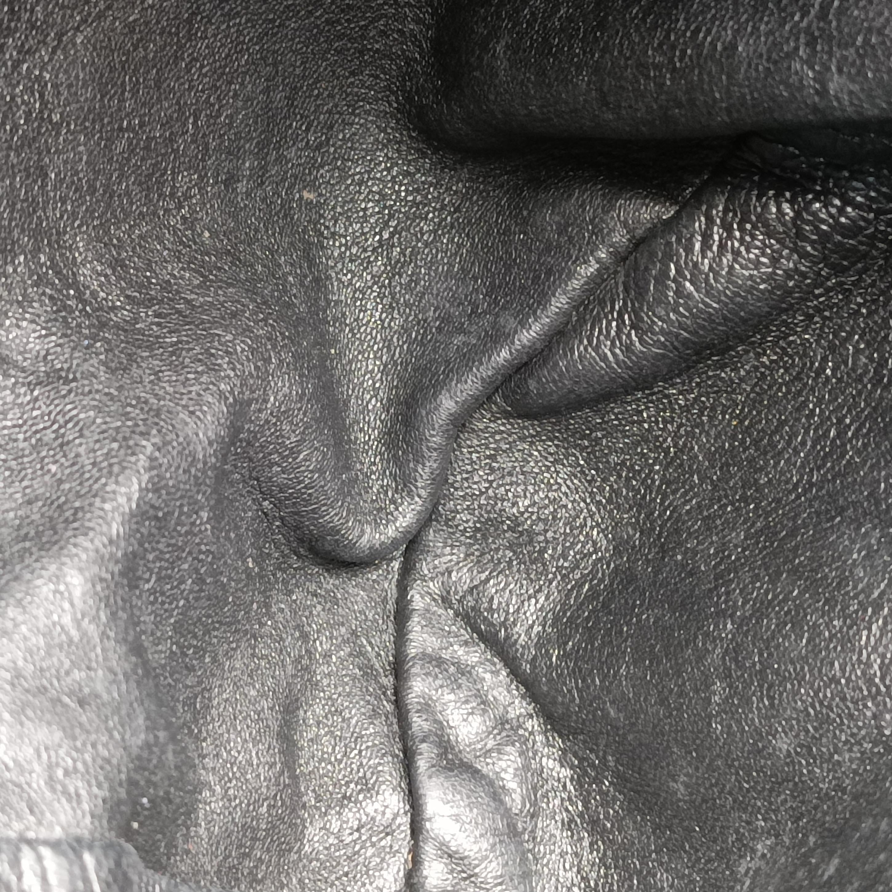 Pre-owned Christian Dior pleated hobo Black leather  handbag | stylenewstar