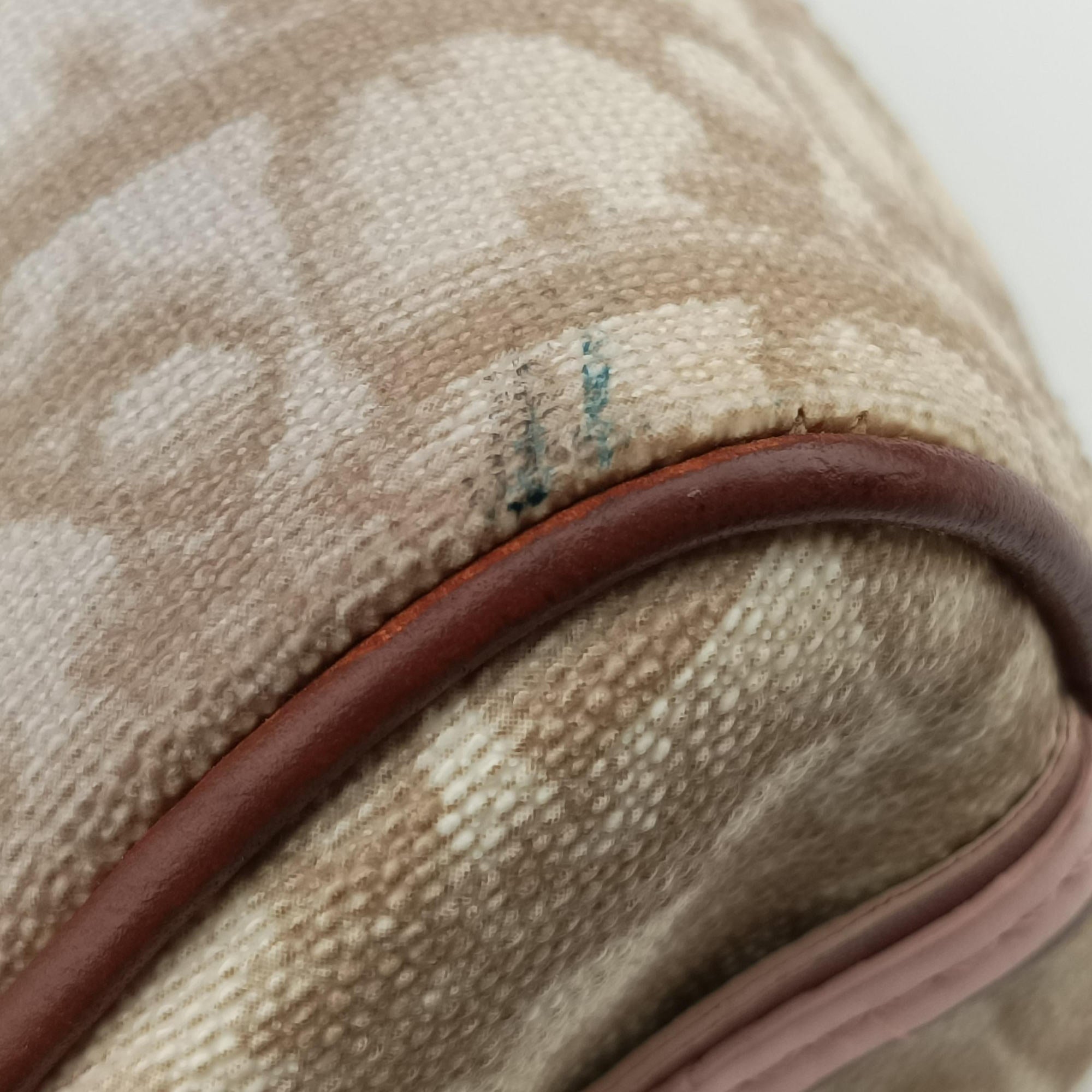 Pre-owned Christian Dior Trotter Romantique Beige x Pink x Brown PVC Coated canvas x leather  shoulderbag | stylenewstar
