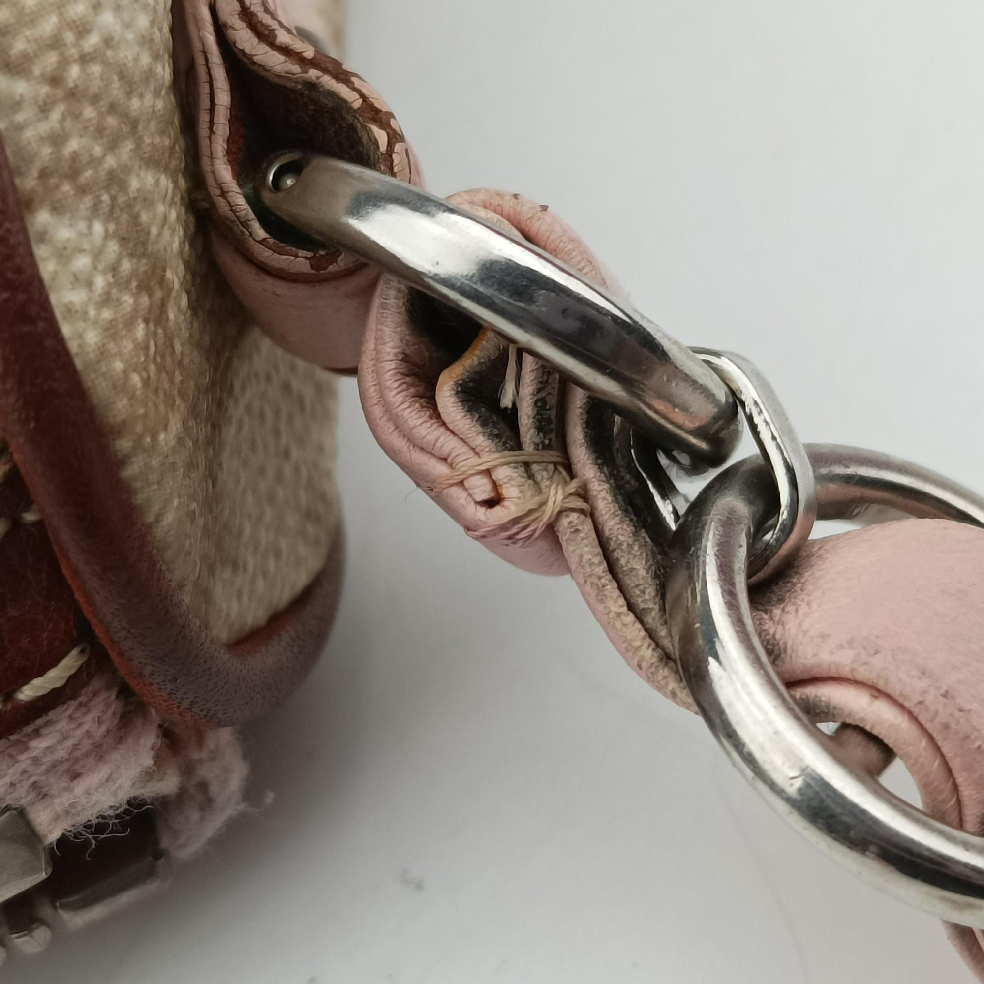 Pre-owned Christian Dior Trotter Romantique Beige x Pink x Brown PVC Coated canvas x leather  shoulderbag | stylenewstar