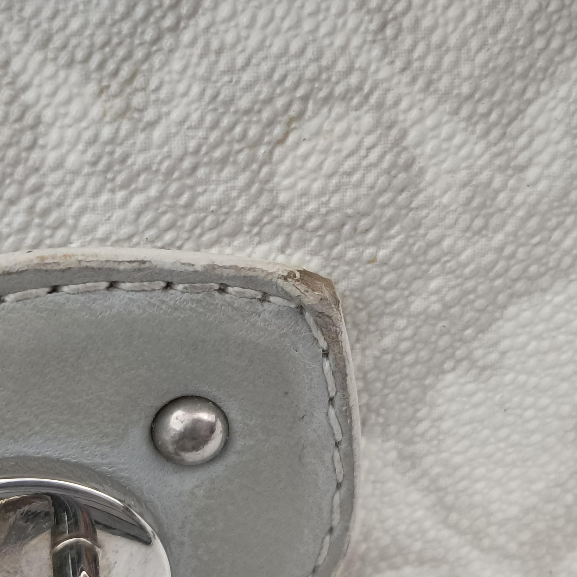 Pre-owned Christian Dior Romantic Trotter White×Grey pvc coated canvas×Leather  shoulderbag | stylenewstar