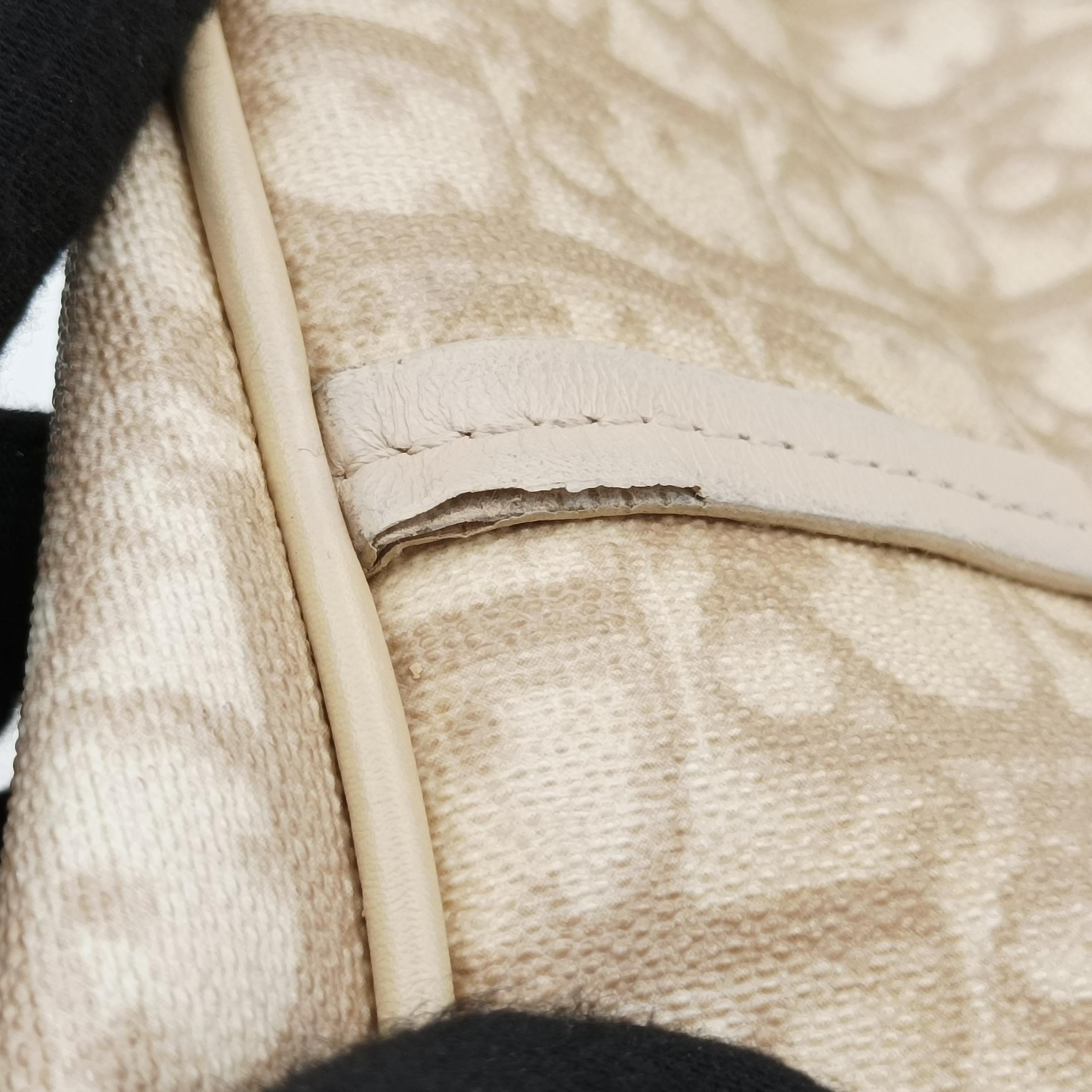 Vintage Christian Dior Diorissimo Romantique Beige PVC coated canvas ×Leather  shoulderbag | stylenewstar