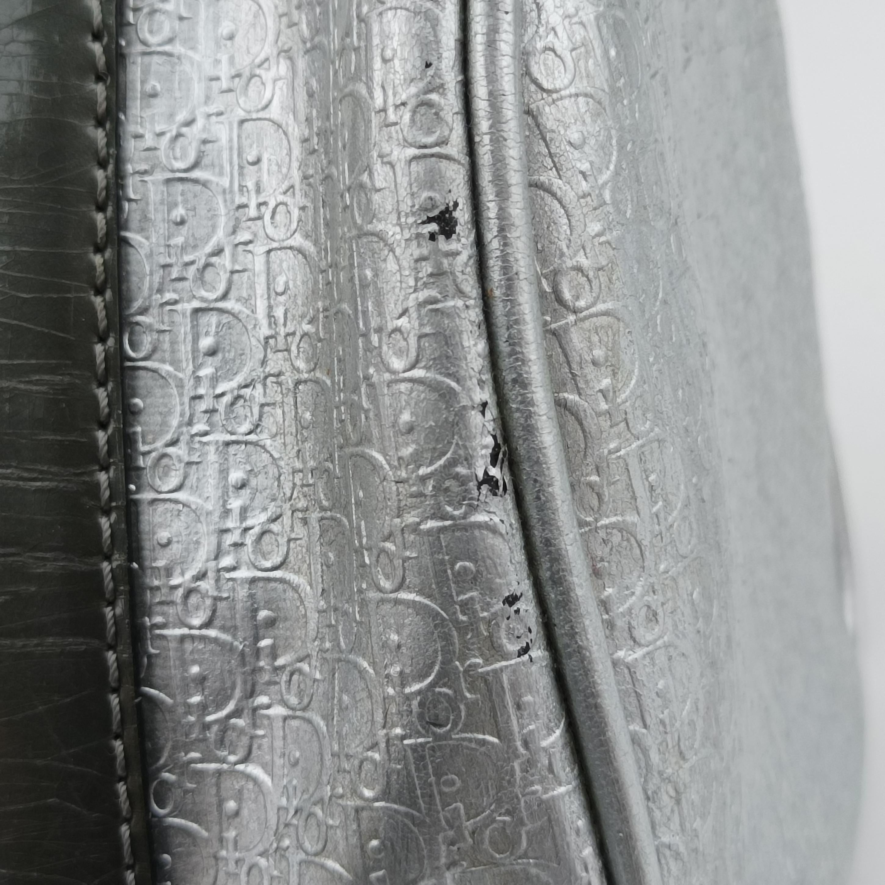 Pre-owned Christian Dior Zucchino　Glitter Logo Silver Leather  handbag | stylenewstar
