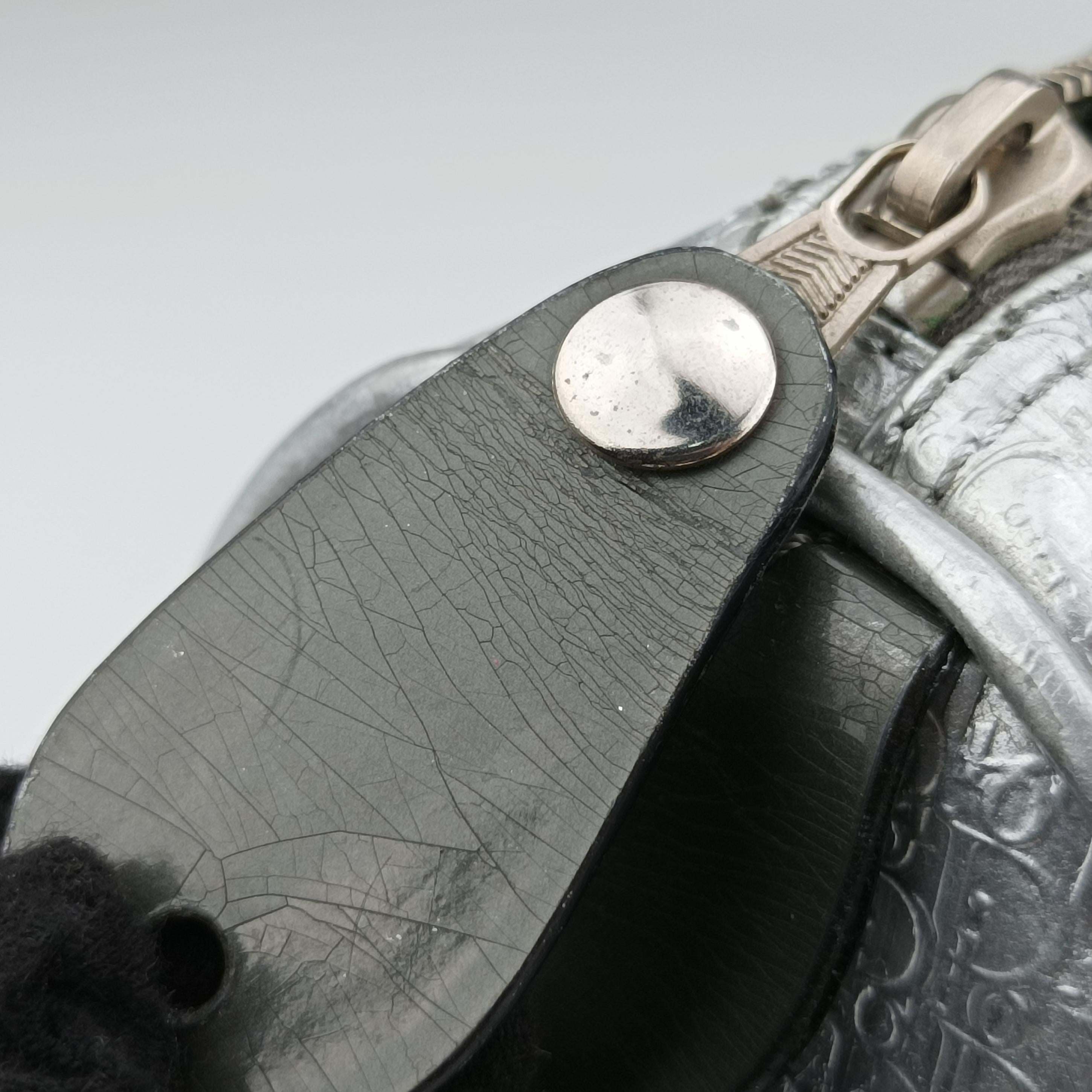 Pre-owned Christian Dior Zucchino　Glitter Logo Silver Leather  handbag | stylenewstar