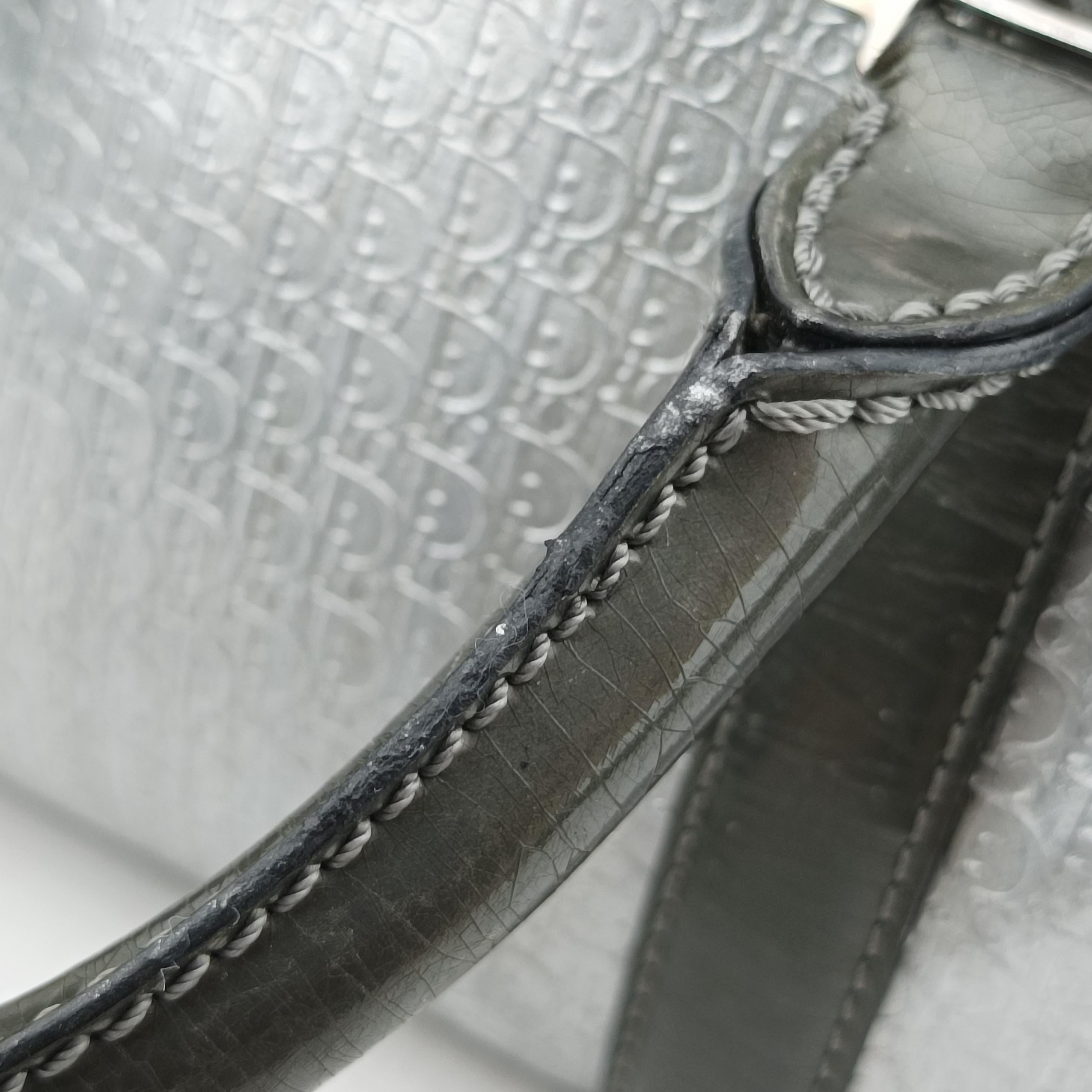 Pre-owned Christian Dior Zucchino　Glitter Logo Silver Leather  handbag | stylenewstar
