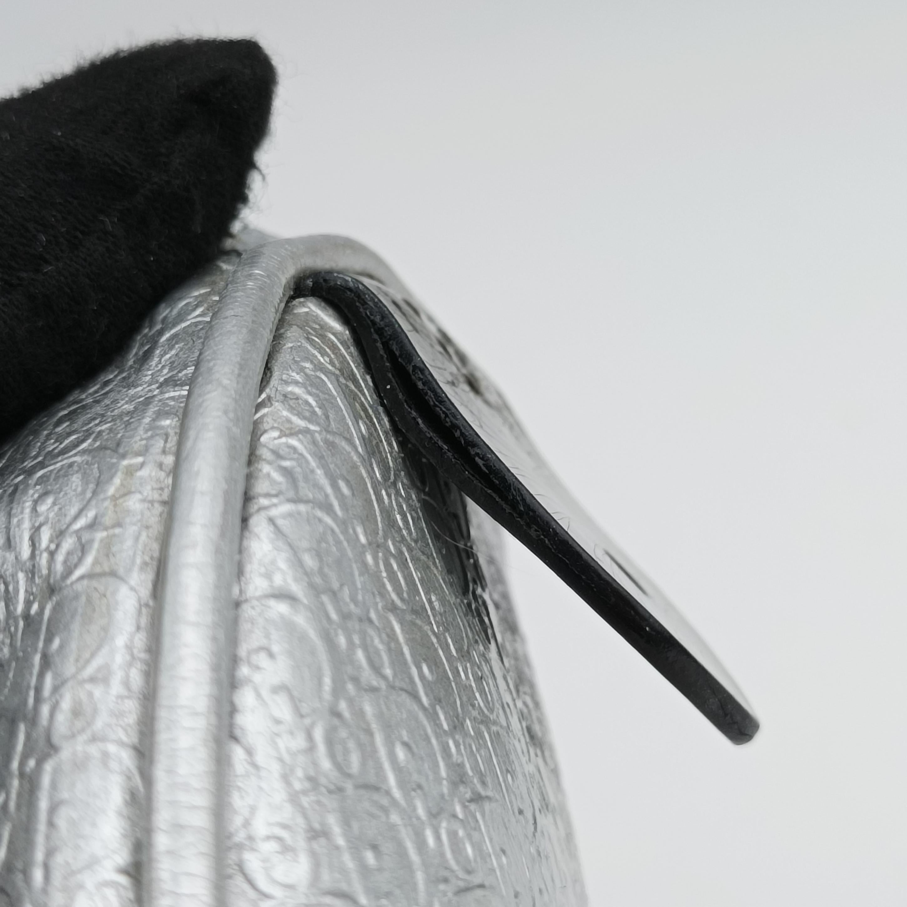 Pre-owned Christian Dior Zucchino　Glitter Logo Silver Leather  handbag | stylenewstar