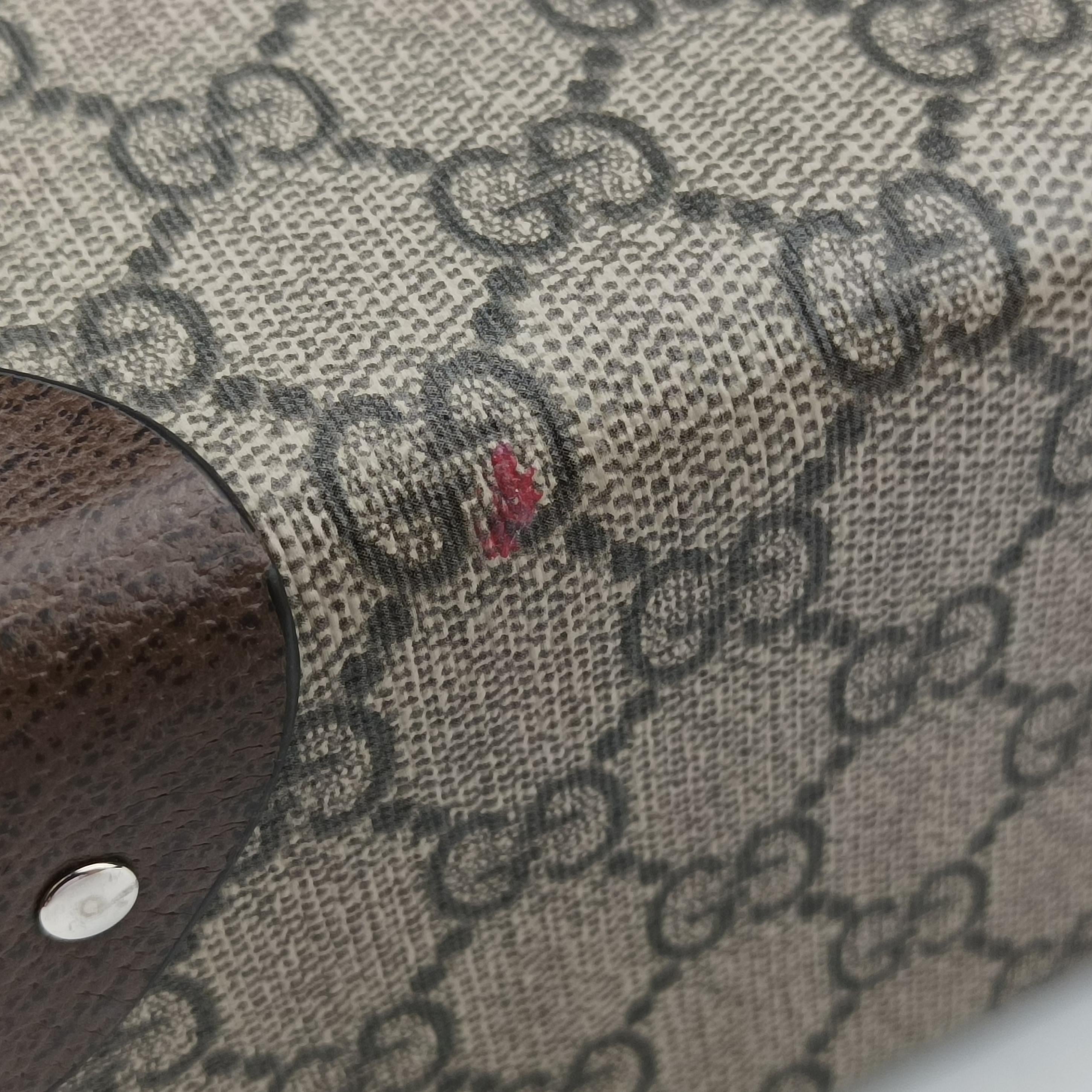 Pre-owned Gucci Globe-Trotter Beige x Dark Brown PVC coated canvas 588351 shoulderbag | stylenewstar