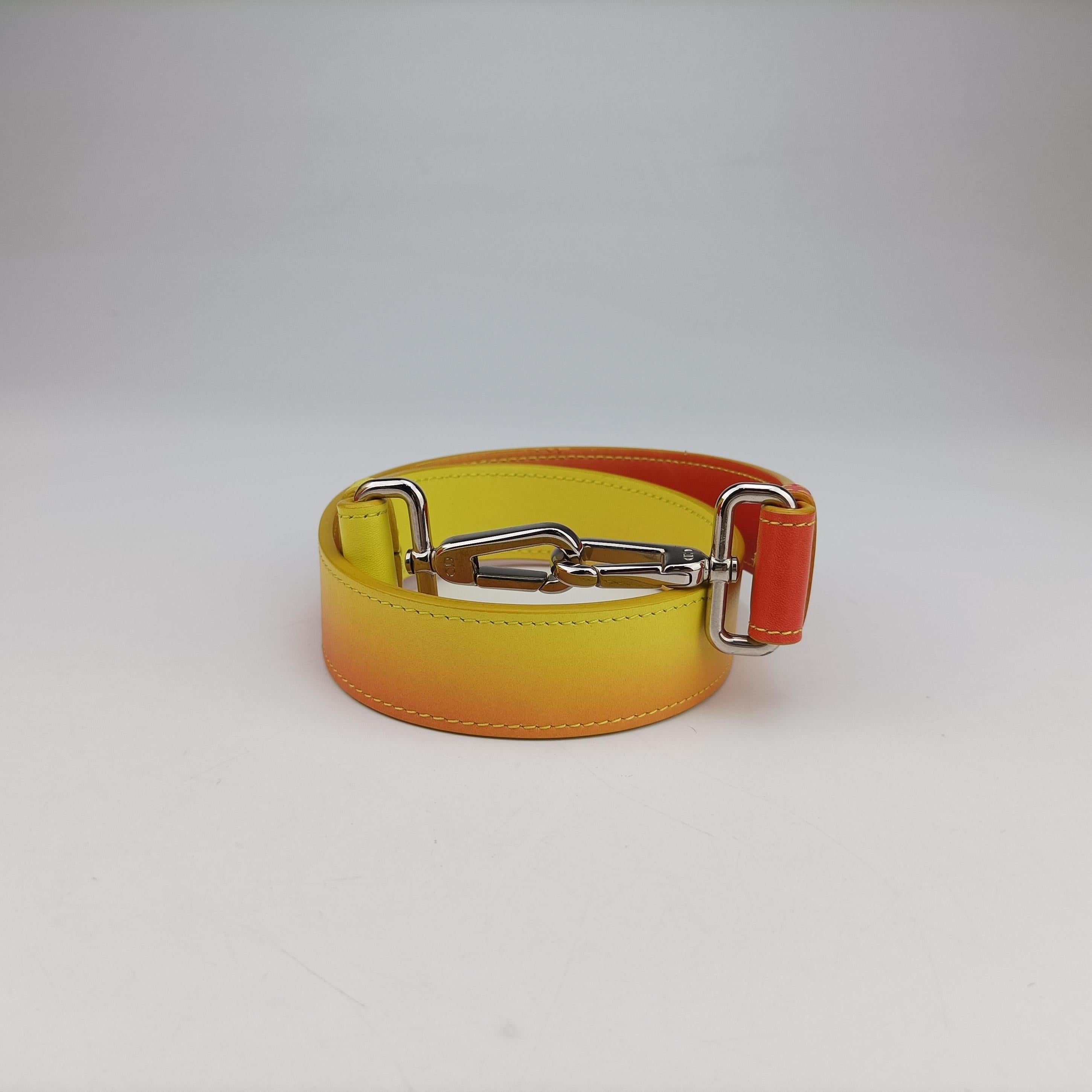 Pre-owned Christian Dior Diorissimo Yellow x Orange leather  shoulderbag | stylenewstar