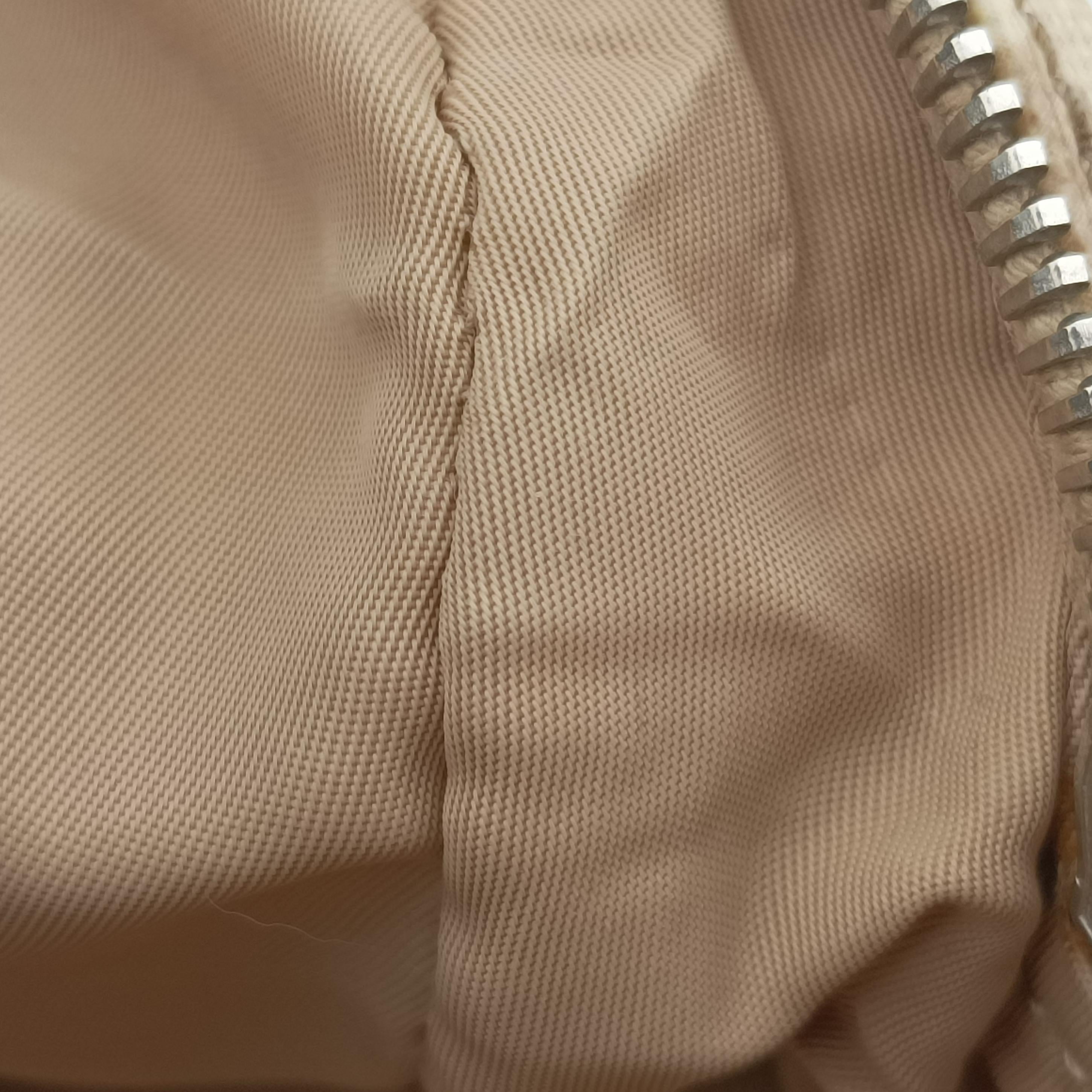 Secondhand Christian Dior Oblique Romantique Trotter Beige x White PVC coated canvas  handbag | stylenewstar