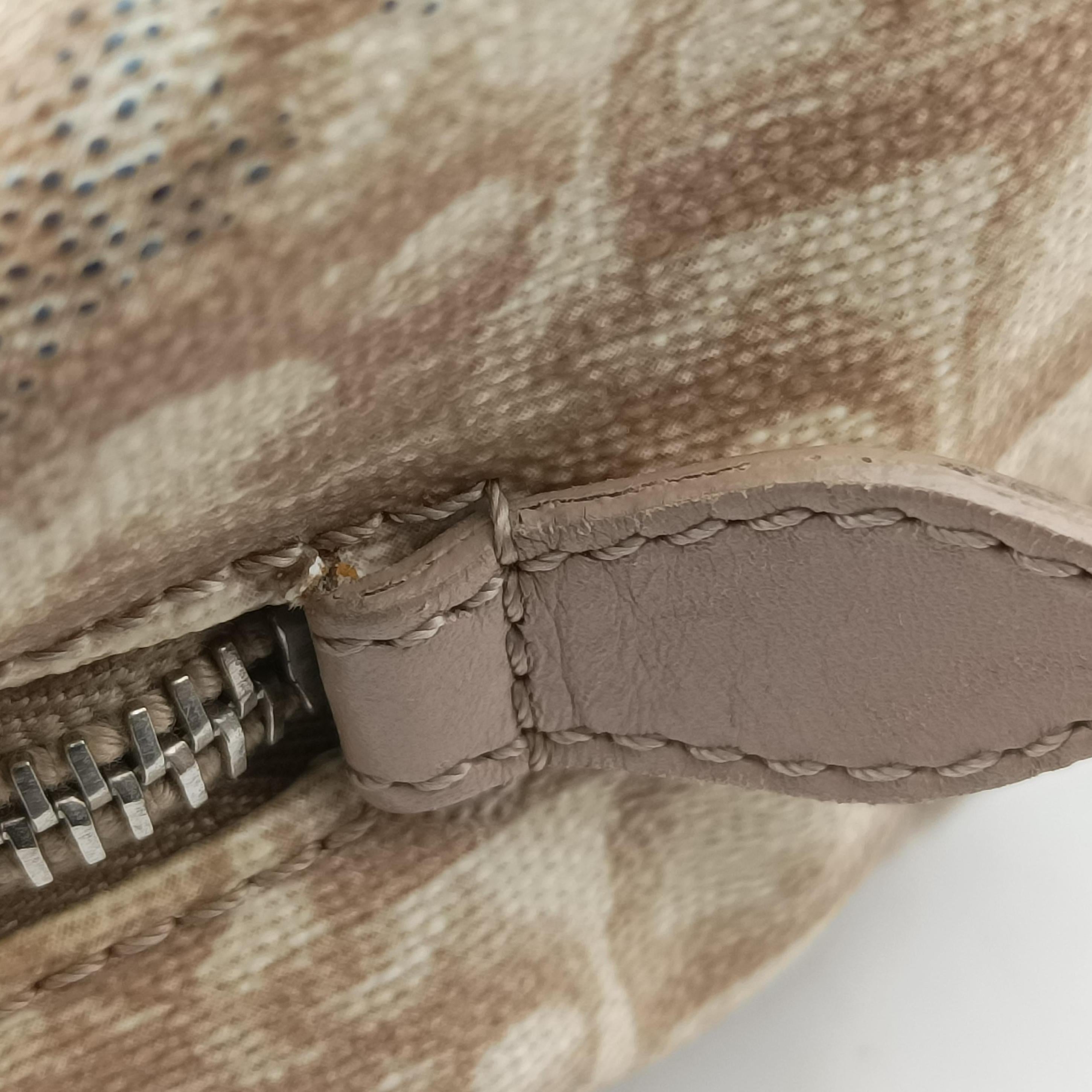 Secondhand Christian Dior Oblique Romantique Trotter Beige x White PVC coated canvas  handbag | stylenewstar