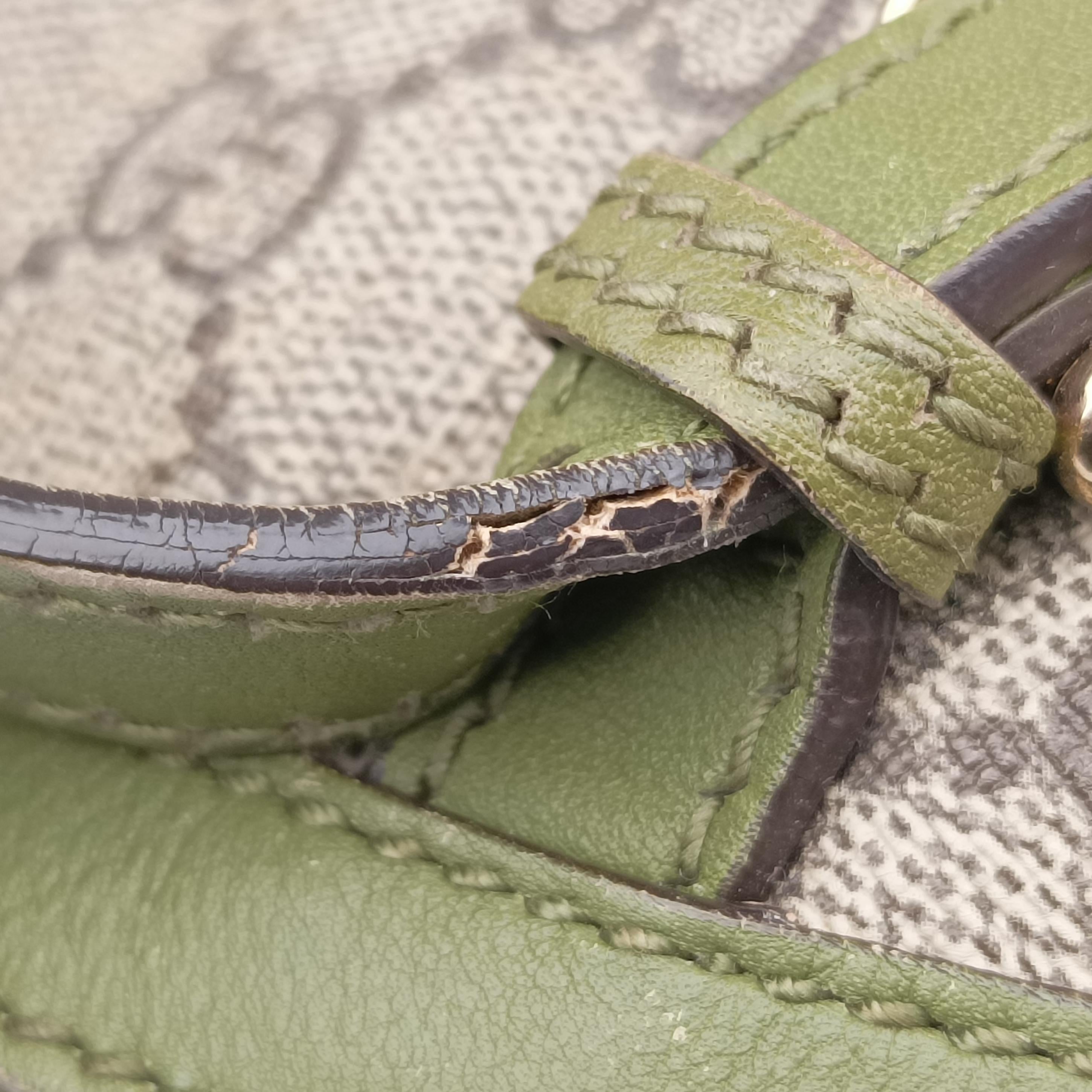 Pre-owned Gucci GG Supreme Medium Nice Dome Beige×green PVC coated canvas×Leather 309614 handbag | stylenewstar