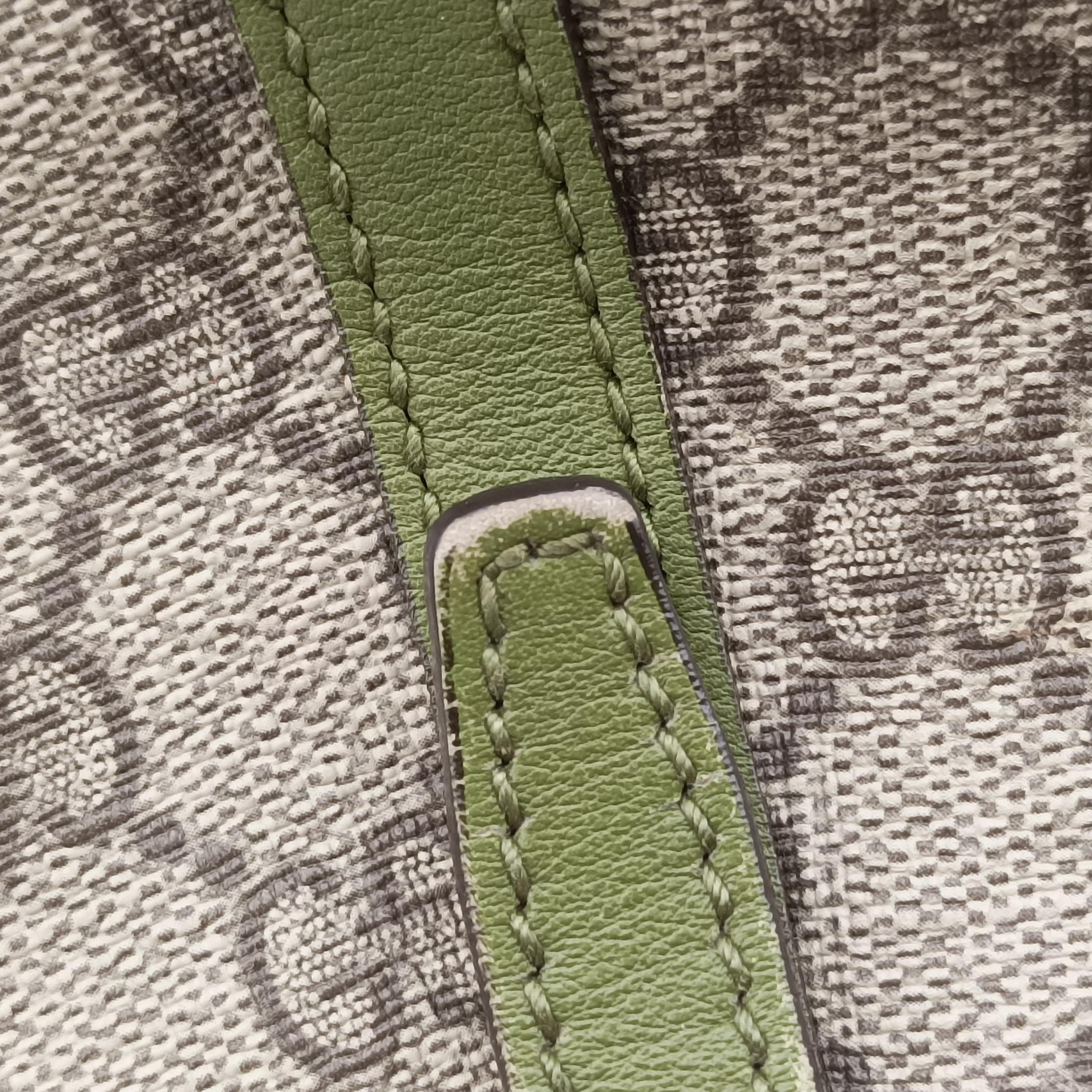 Pre-owned Gucci GG Supreme Medium Nice Dome Beige×green PVC coated canvas×Leather 309614 handbag | stylenewstar