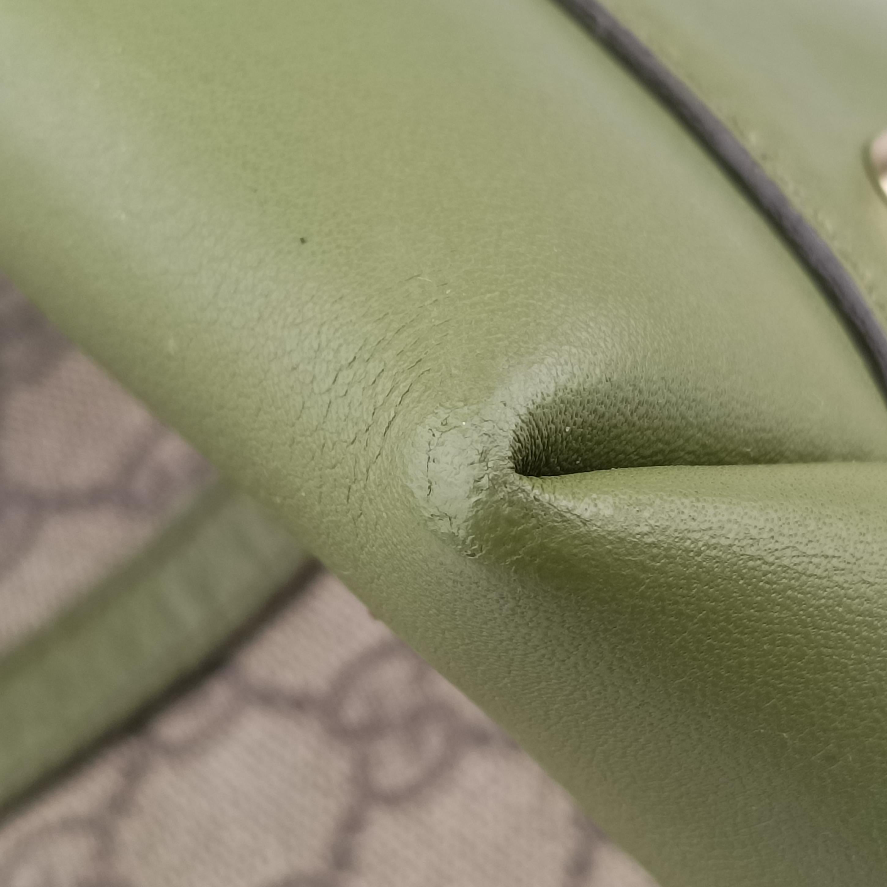 Pre-owned Gucci GG Supreme Medium Nice Dome Beige×green PVC coated canvas×Leather 309614 handbag | stylenewstar