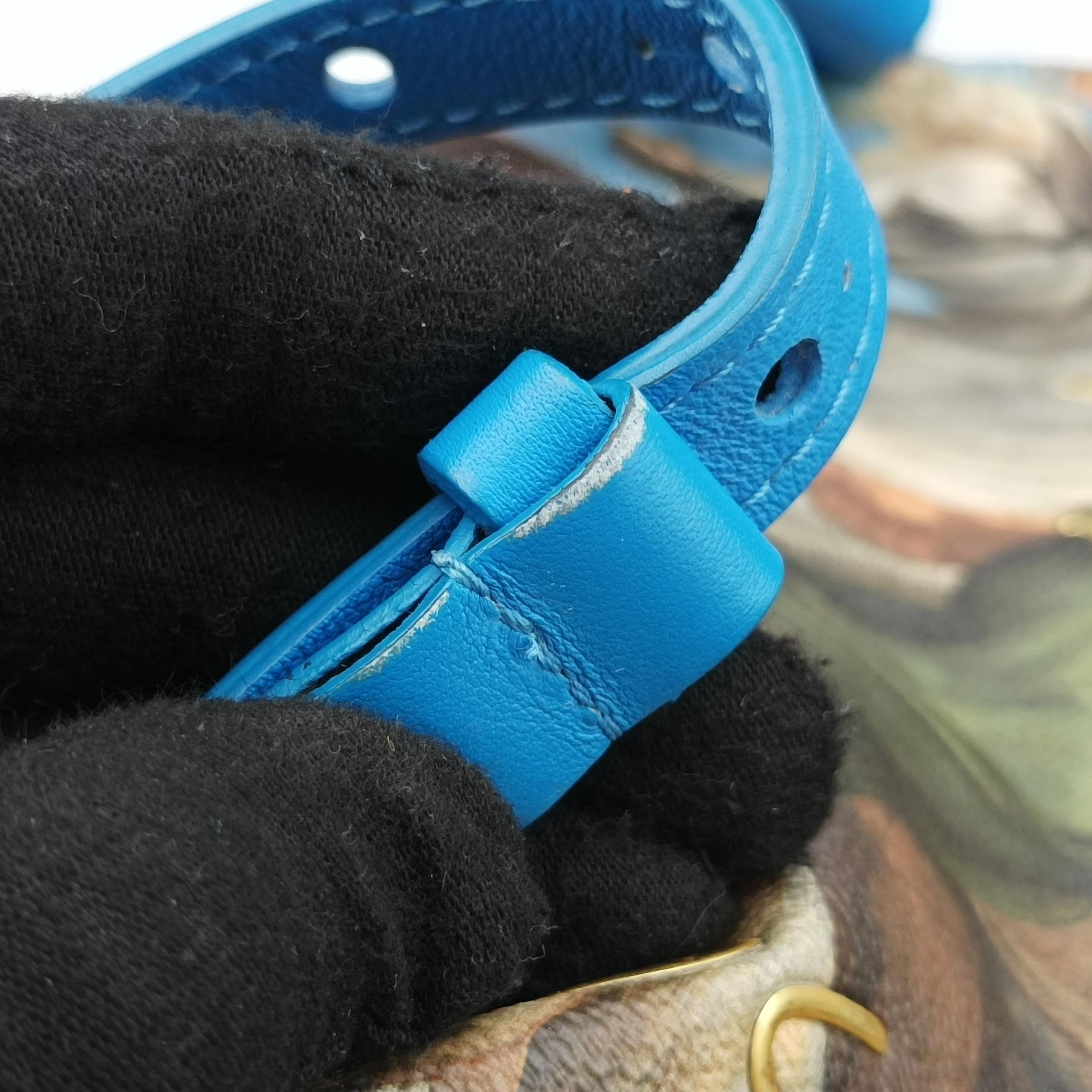 Secondhand Louis Vuitton Palm Springs PM Masters Jeff Koons Rubens Tiger Hunt blue×multicolor Monogram Celty M43335 backpack/rucksack | stylenewstar