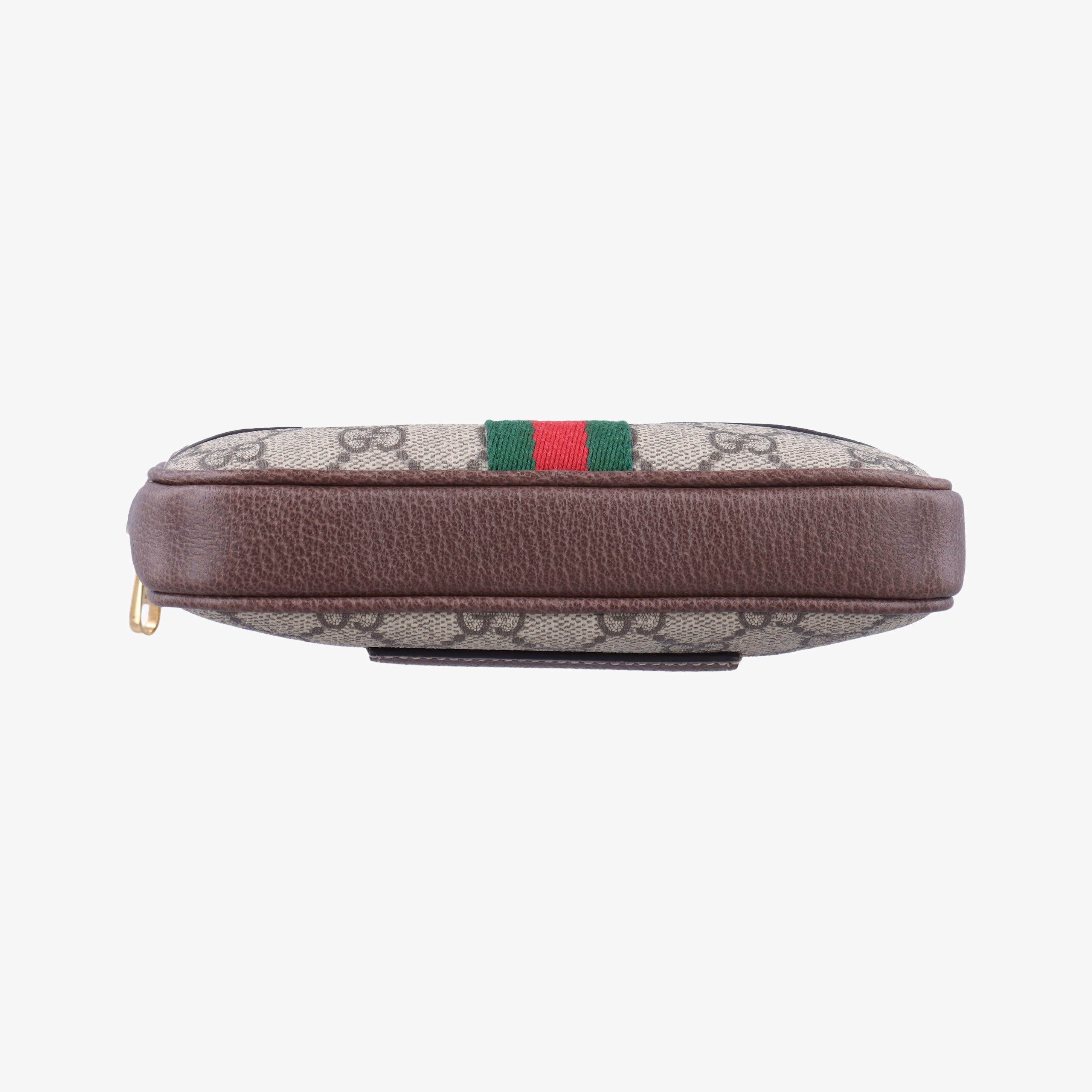 Pre-owned Gucci Ophidia Brown×green×red PVC coated canvas×leather 519308 bum bag/waist bag | stylenewstar