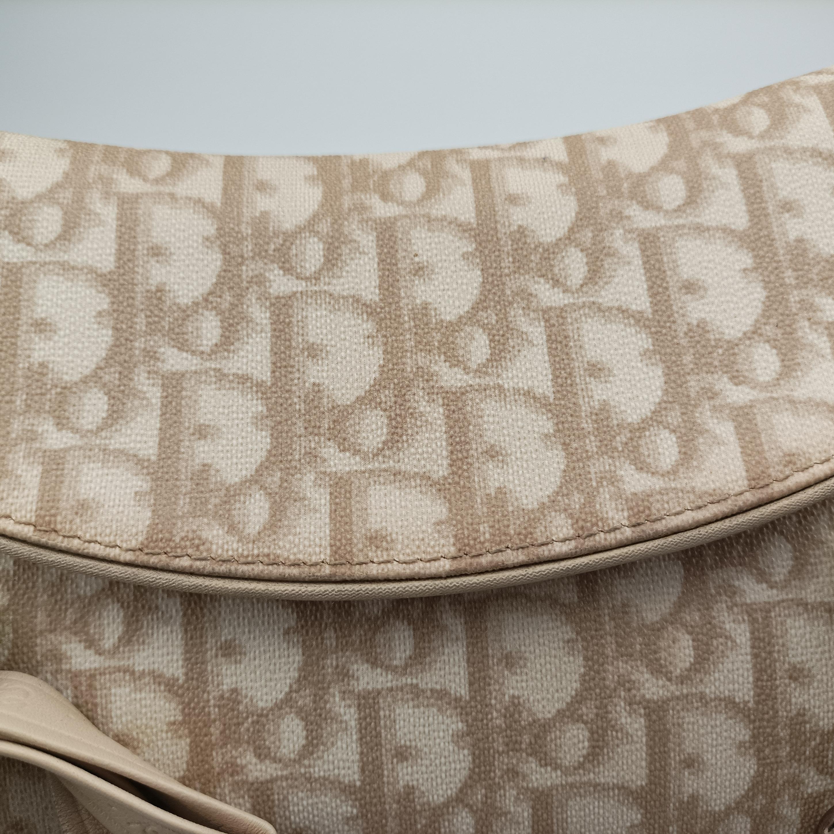 Pre-owned Christian Dior Romantique Trotter Beigex White PVC coated canvas  handbag | stylenewstar