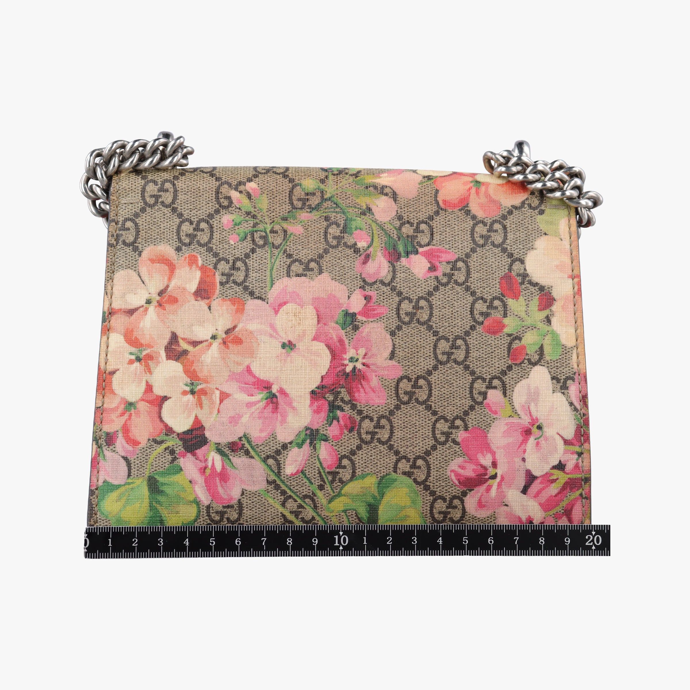 Secondhand Gucci Dionysus beige×red×Multicolour PVC coated canvas × suede 421970 shoulderbag | stylenewstar