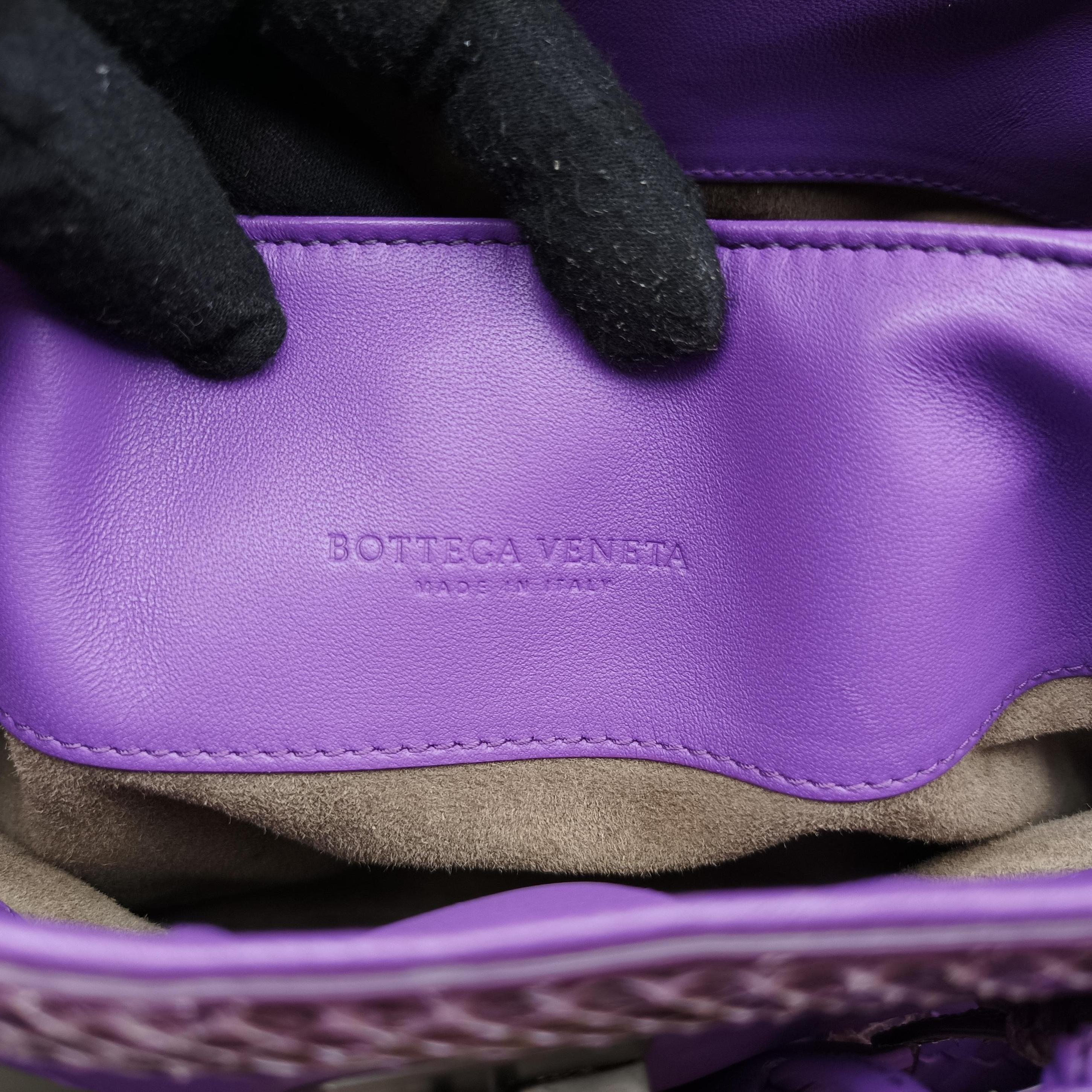 Pre-owned Bottega Veneta Intrecciato Purple lambskin×snakeskin  handbag | stylenewstar