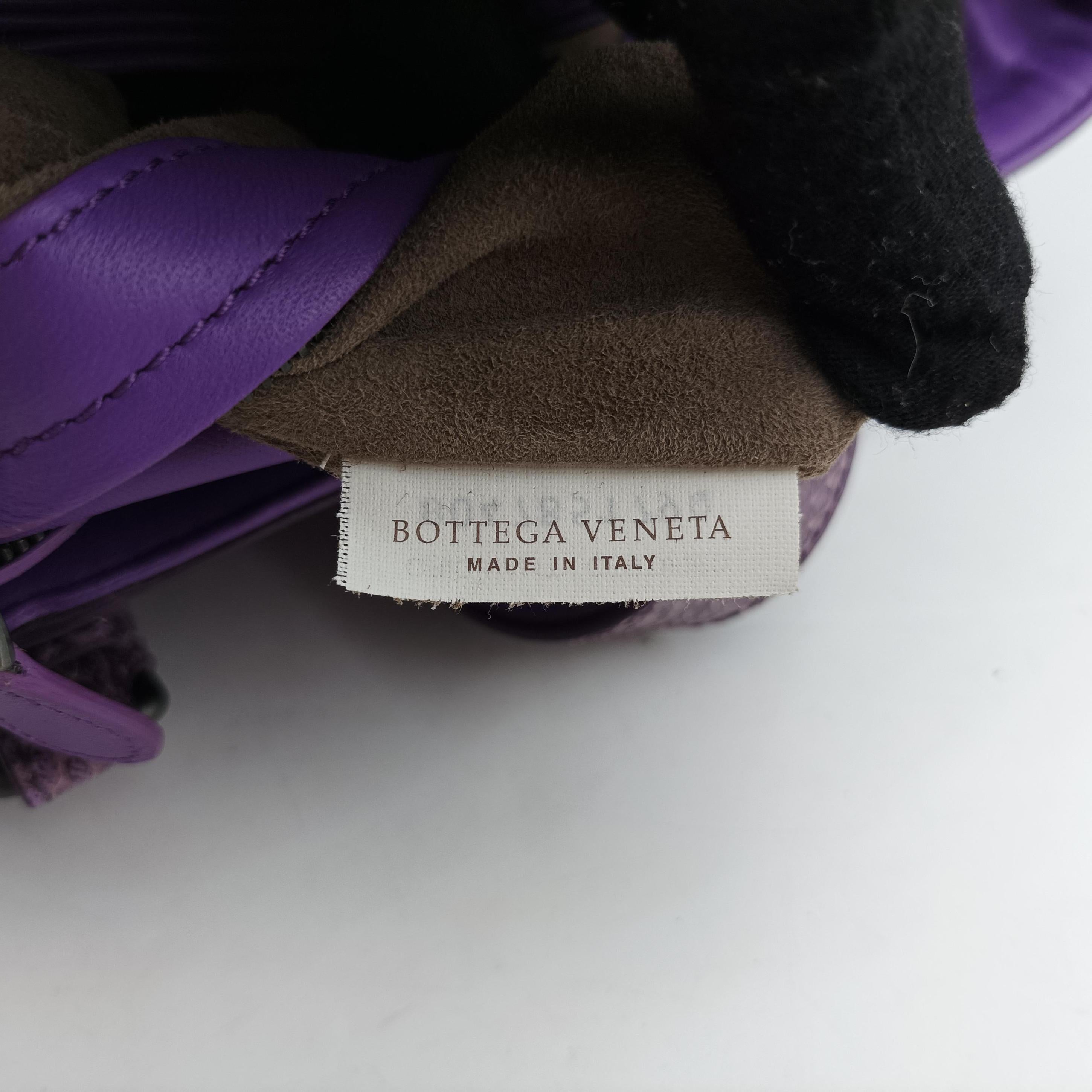Pre-owned Bottega Veneta Intrecciato Purple lambskin×snakeskin  handbag | stylenewstar