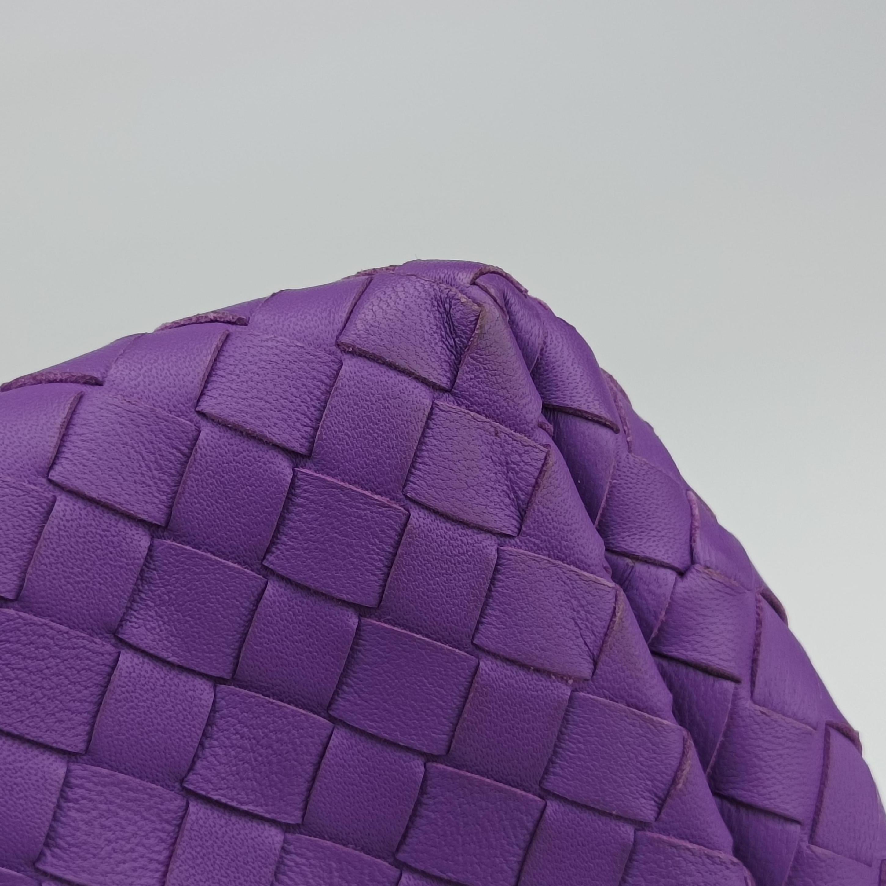 Pre-owned Bottega Veneta Intrecciato Purple lambskin×snakeskin  handbag | stylenewstar