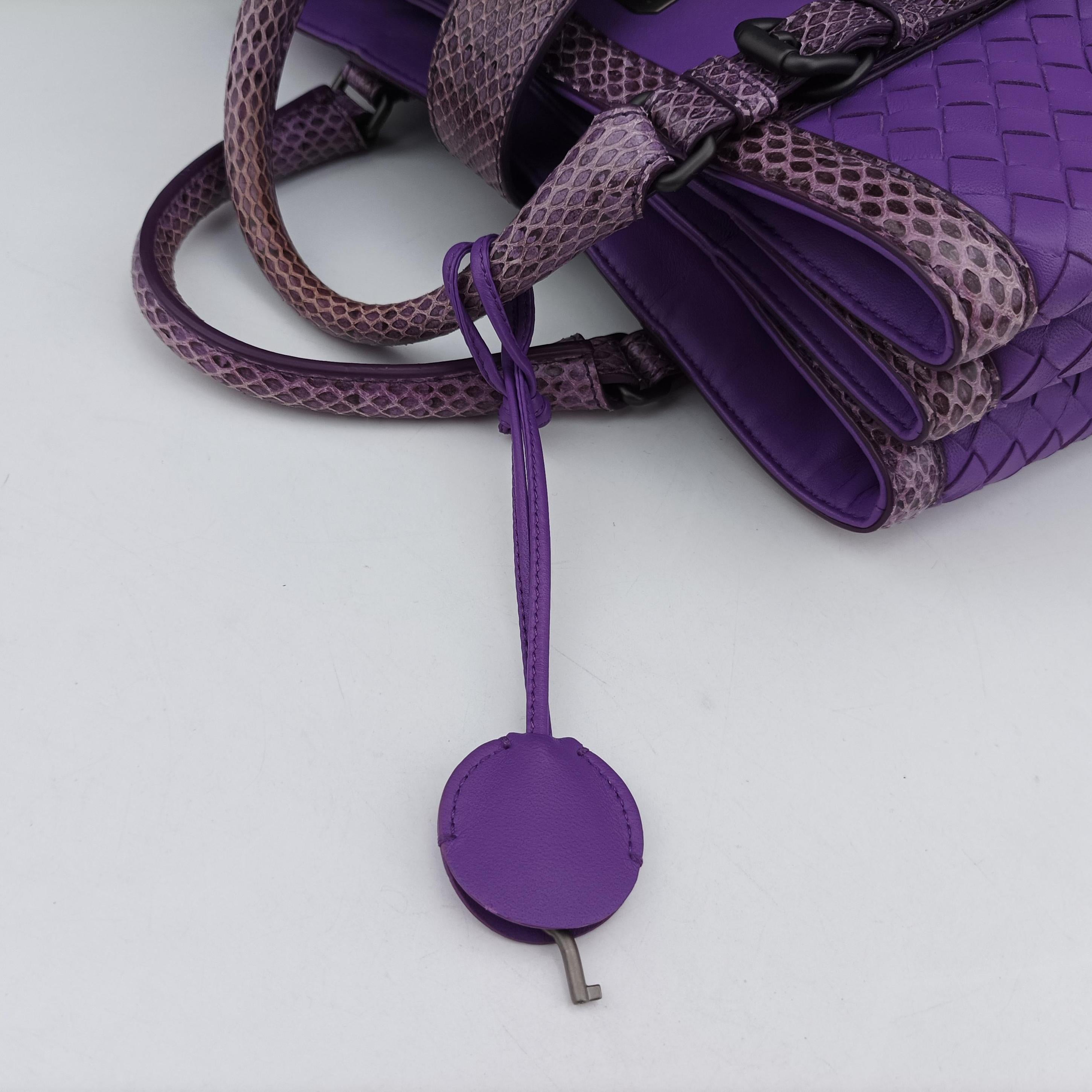 Pre-owned Bottega Veneta Intrecciato Purple lambskin×snakeskin  handbag | stylenewstar